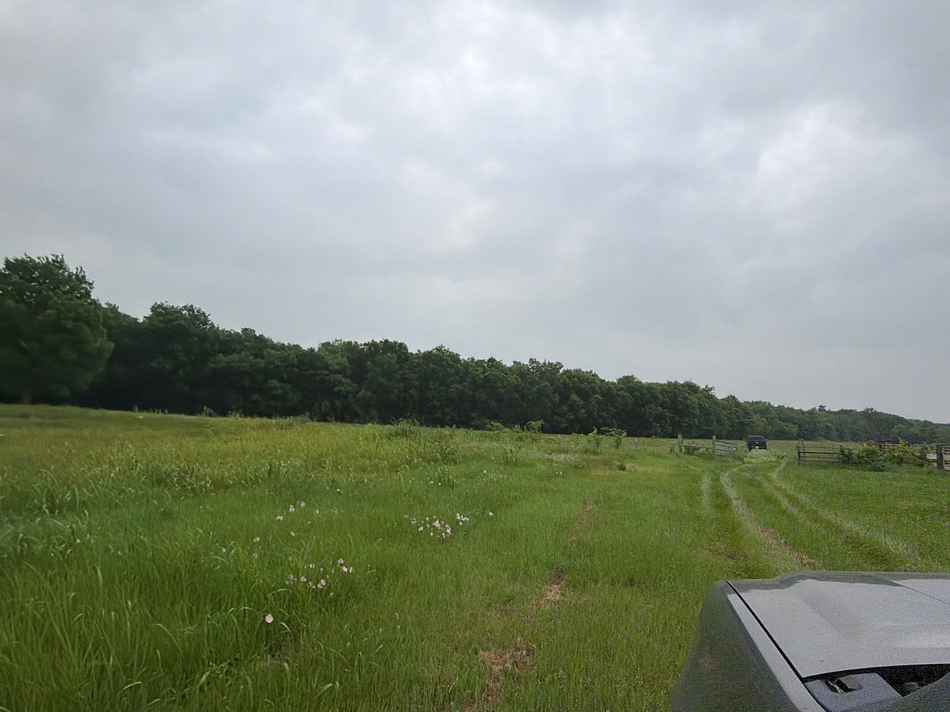 Special Use Valuation in McClendon-Chisolm by Rockwall Honey Bee Company