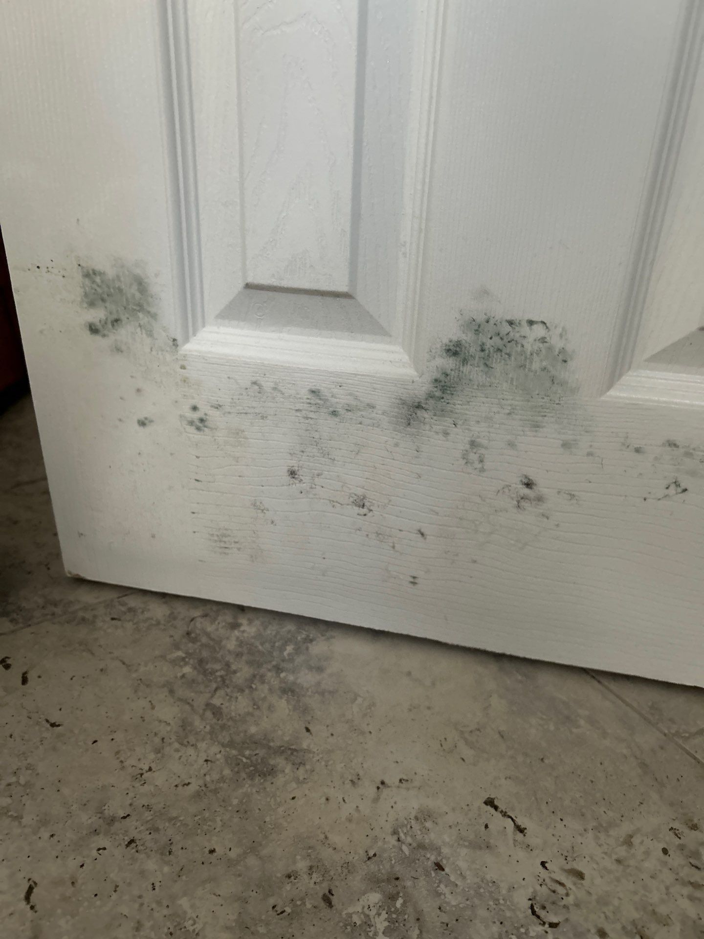 Storm Water Damage Sarasota by Ampm Restoration Services