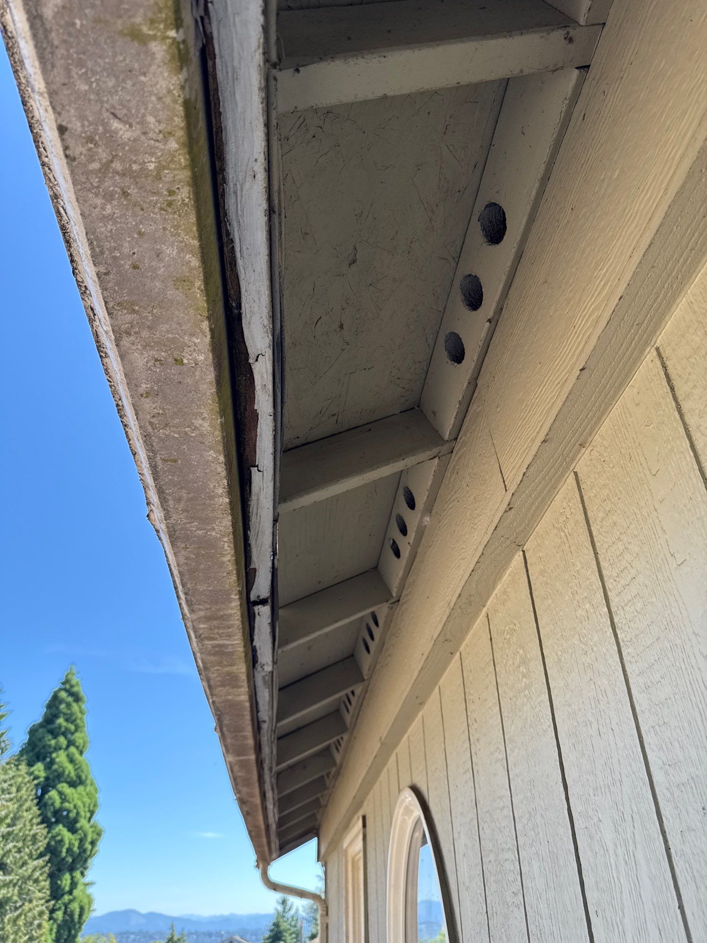 Seatac WA, Roof and Fence Replacement  by Proline Roofing & Restoration LLC