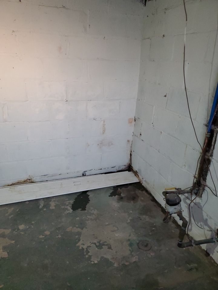 Tree Removal using Tree Removal by Mike Jones & Sons Tree Service LLC 