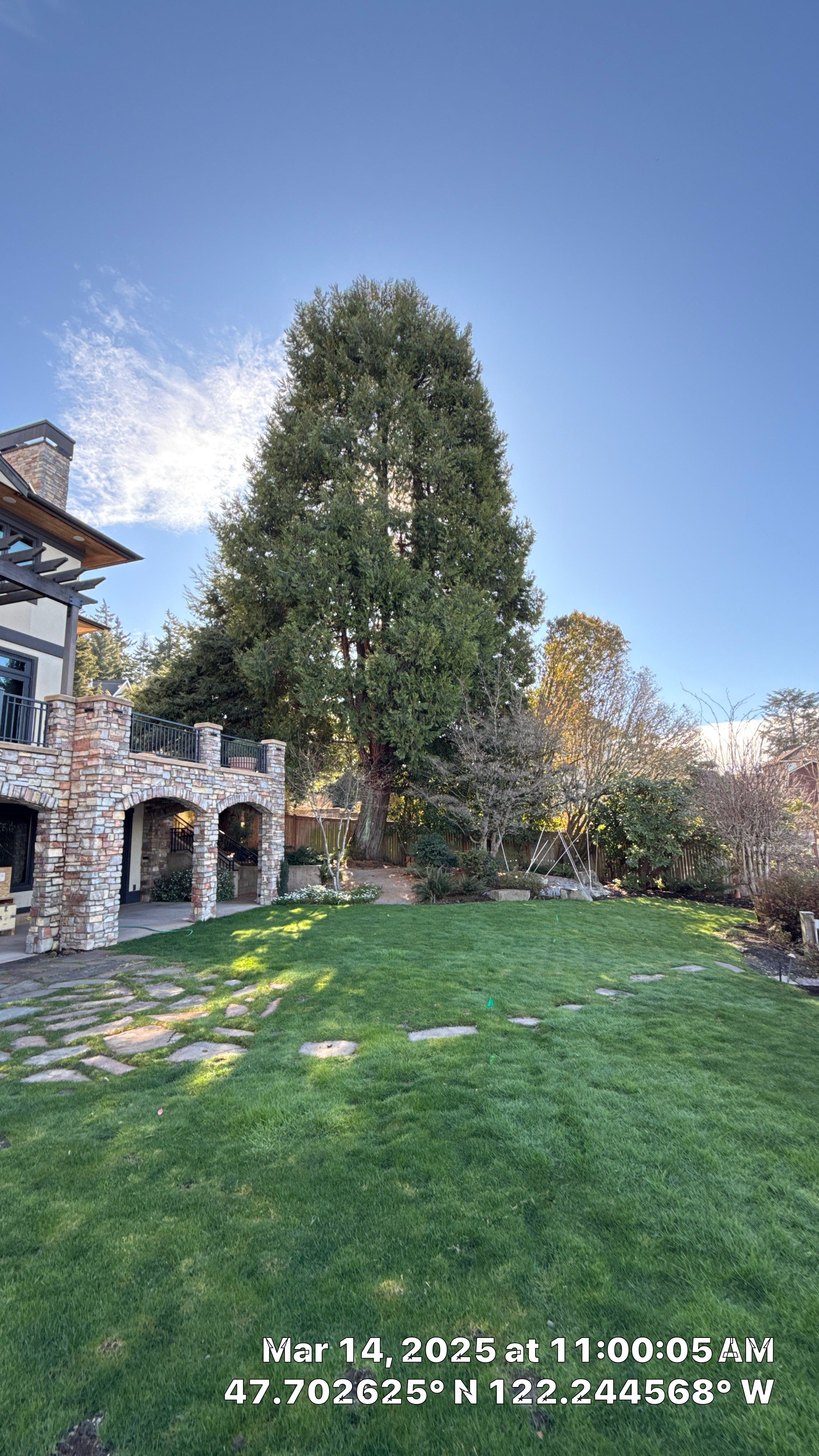 🧾 Tree Support System Assessment & Landmark Tree Risk Report – Holmes Point, Kirkland, WA by Sound Tree Care LLC
