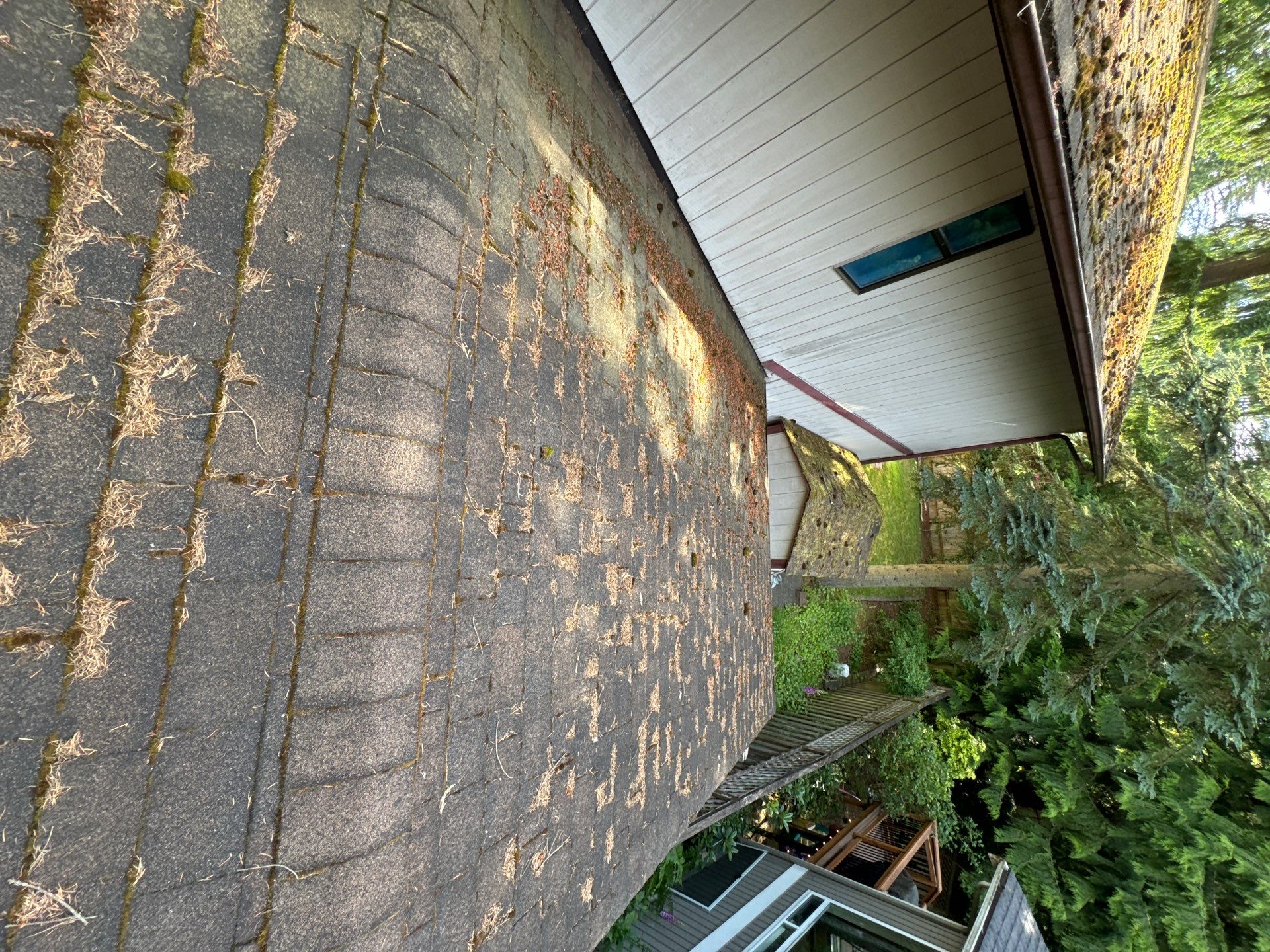 Project in Edmonds by Peaks and Valleys Construction