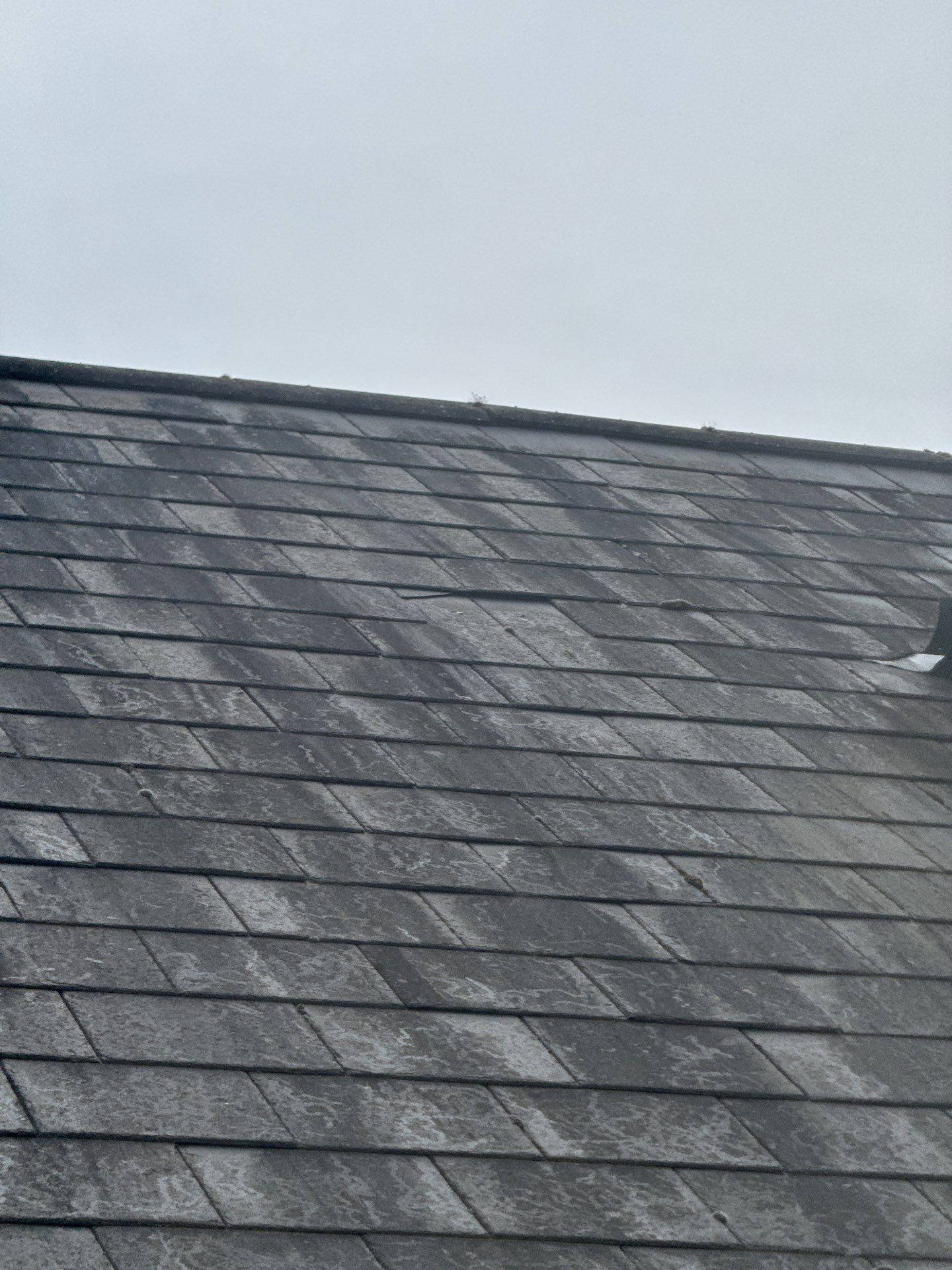 Roof and Patio Cleaning using Honda 15lpm Low Pressure Washing Machine by Ges Exterior Cleaning ltd