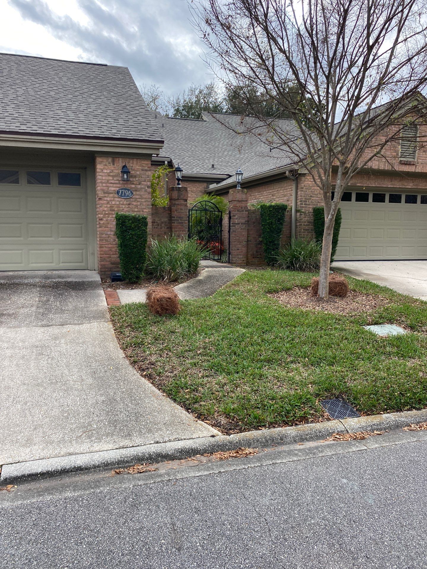 Deerwood Pointe | Tree Removal & Pine Straw Installation by ProGreen Services