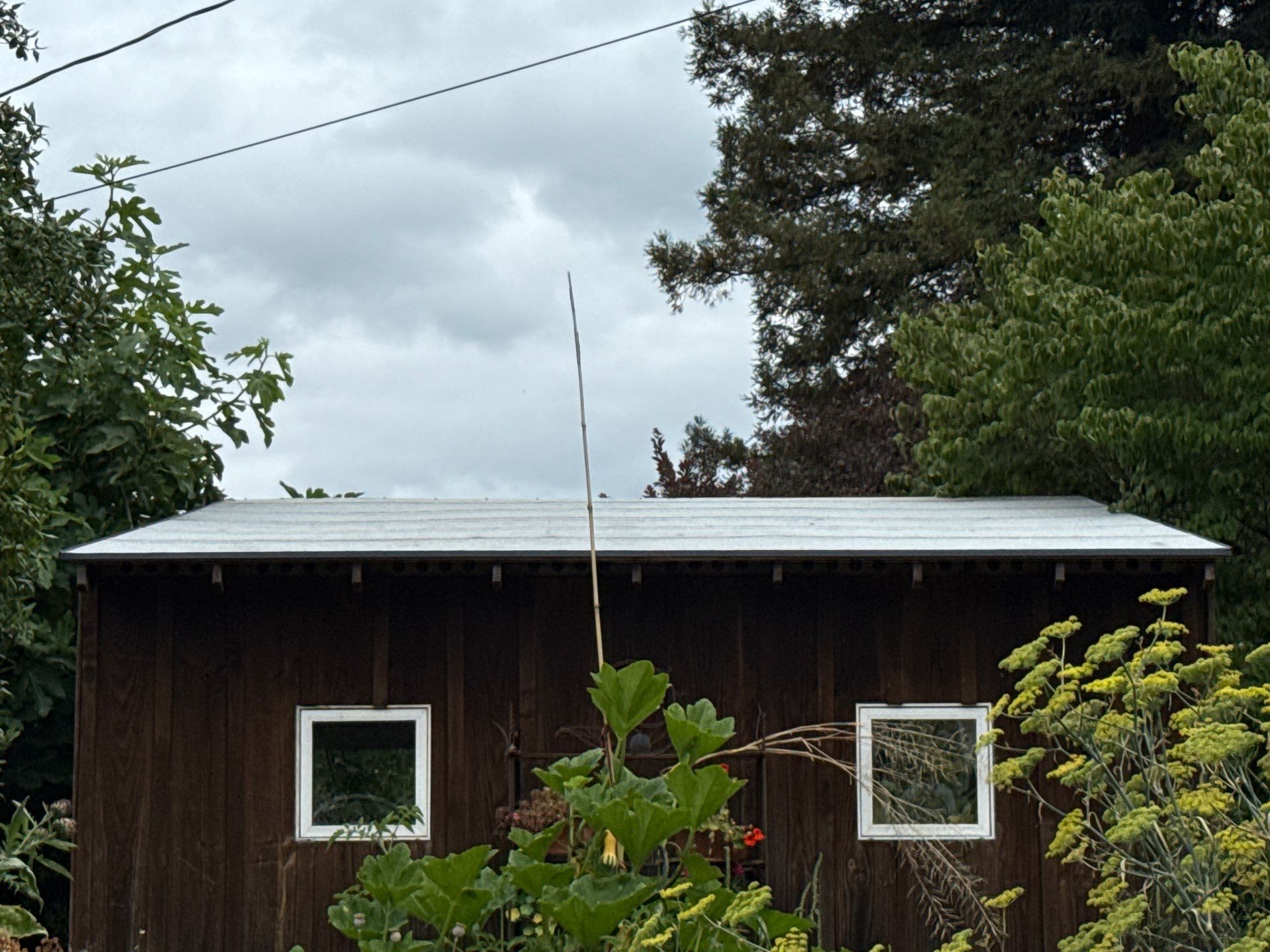 Project in Portland by Tom Leach Roofing