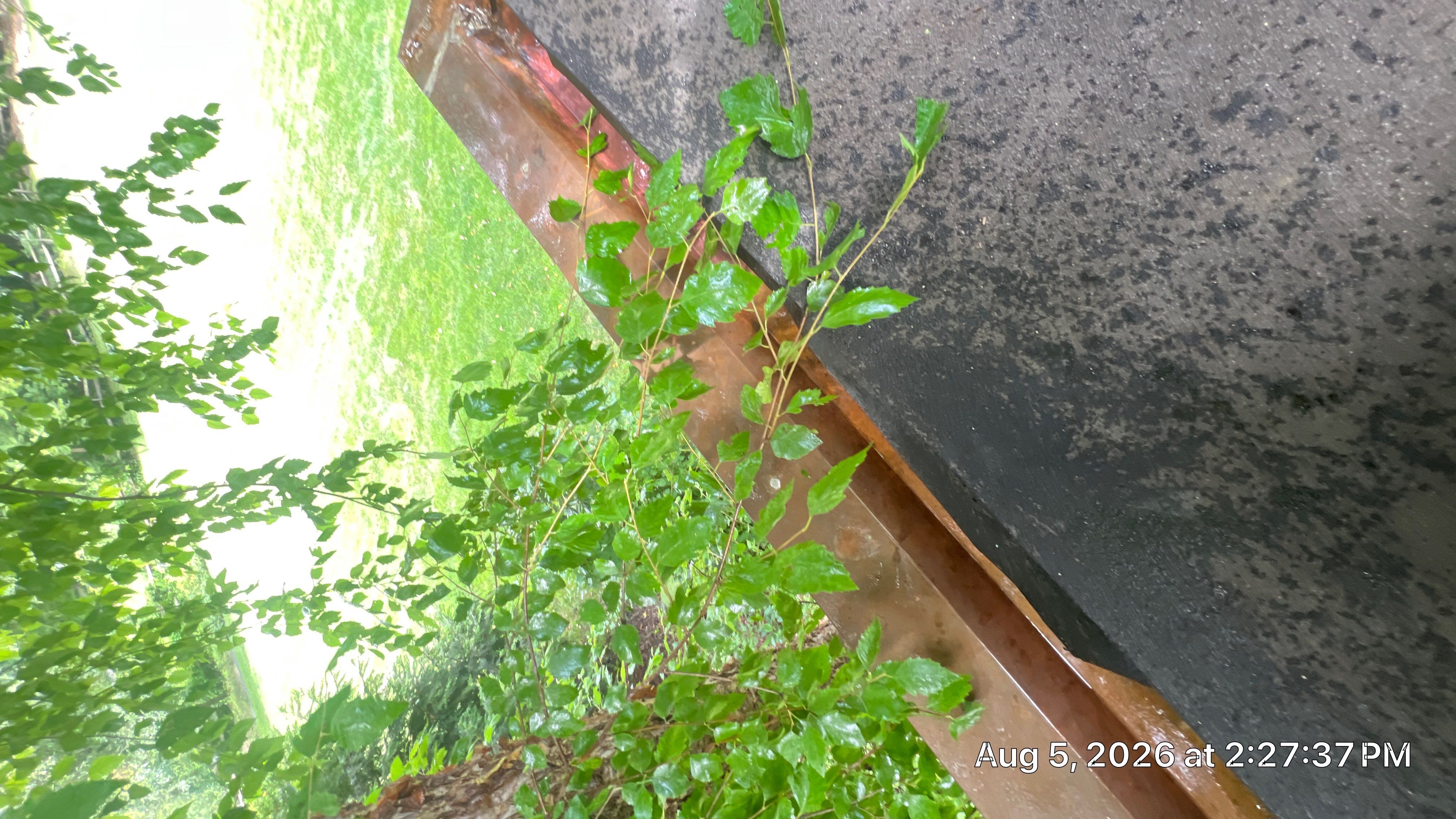 Gutter and Downspout cleaning in Montville New Jersey 07045 by NJ Home Maintenance Services