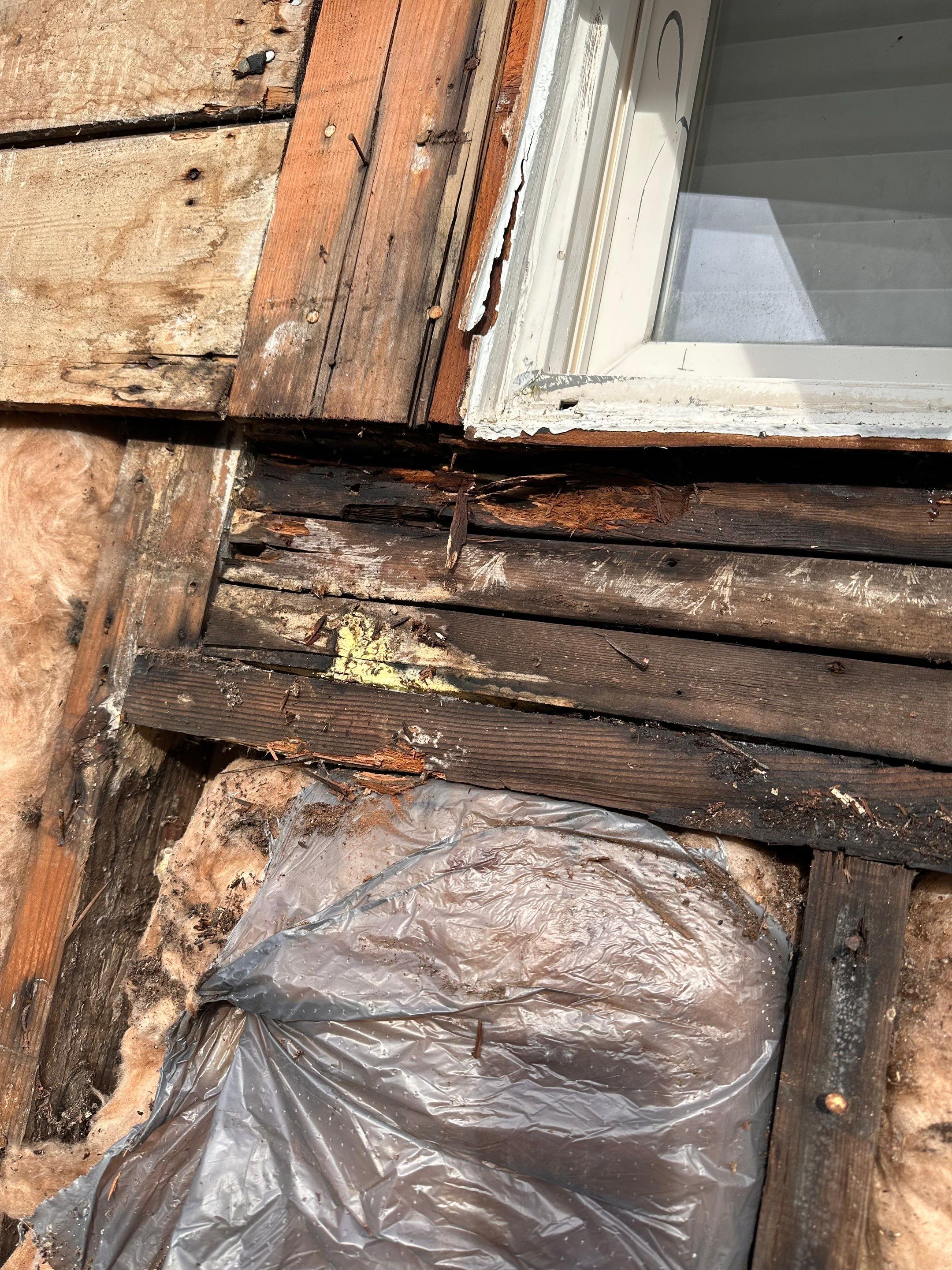 James Hardie Plank Siding Color Plus by Proline Roofing & Restoration LLC