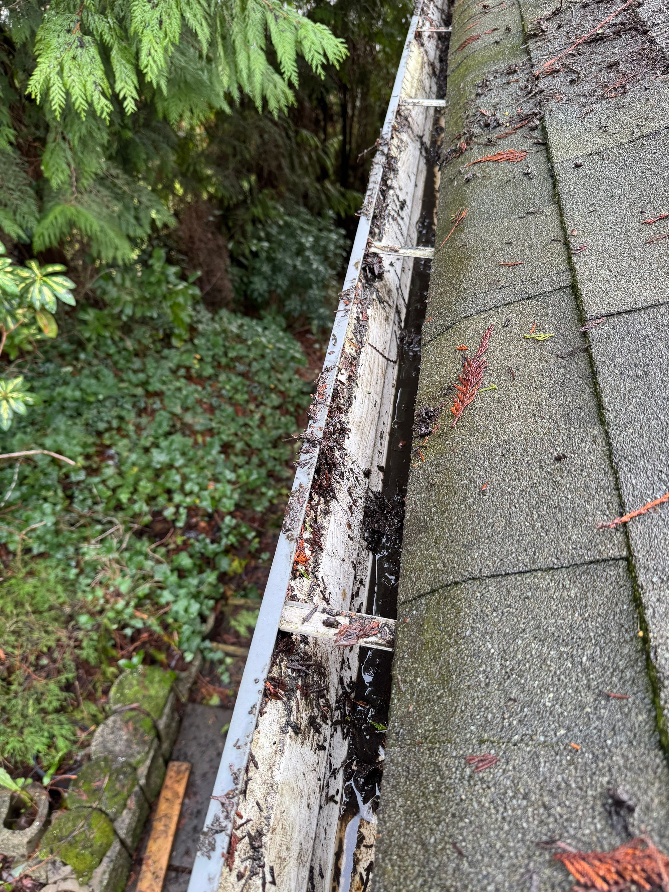 Gutter Cleaning by YVR Construction Group