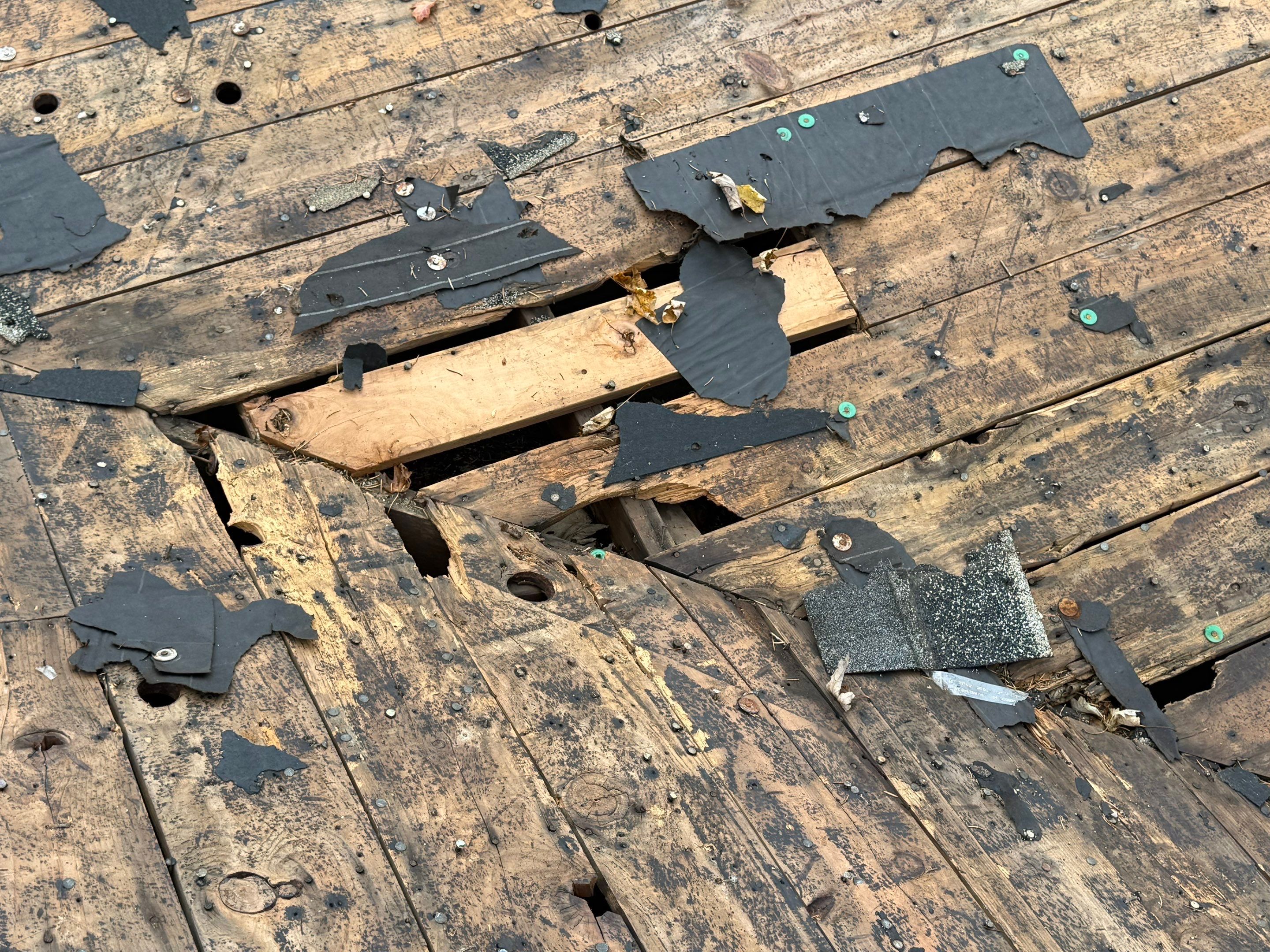 GAF Timberline HDZ® Shingles in Fox Hollow Gray! by Optimal Home Improvement 