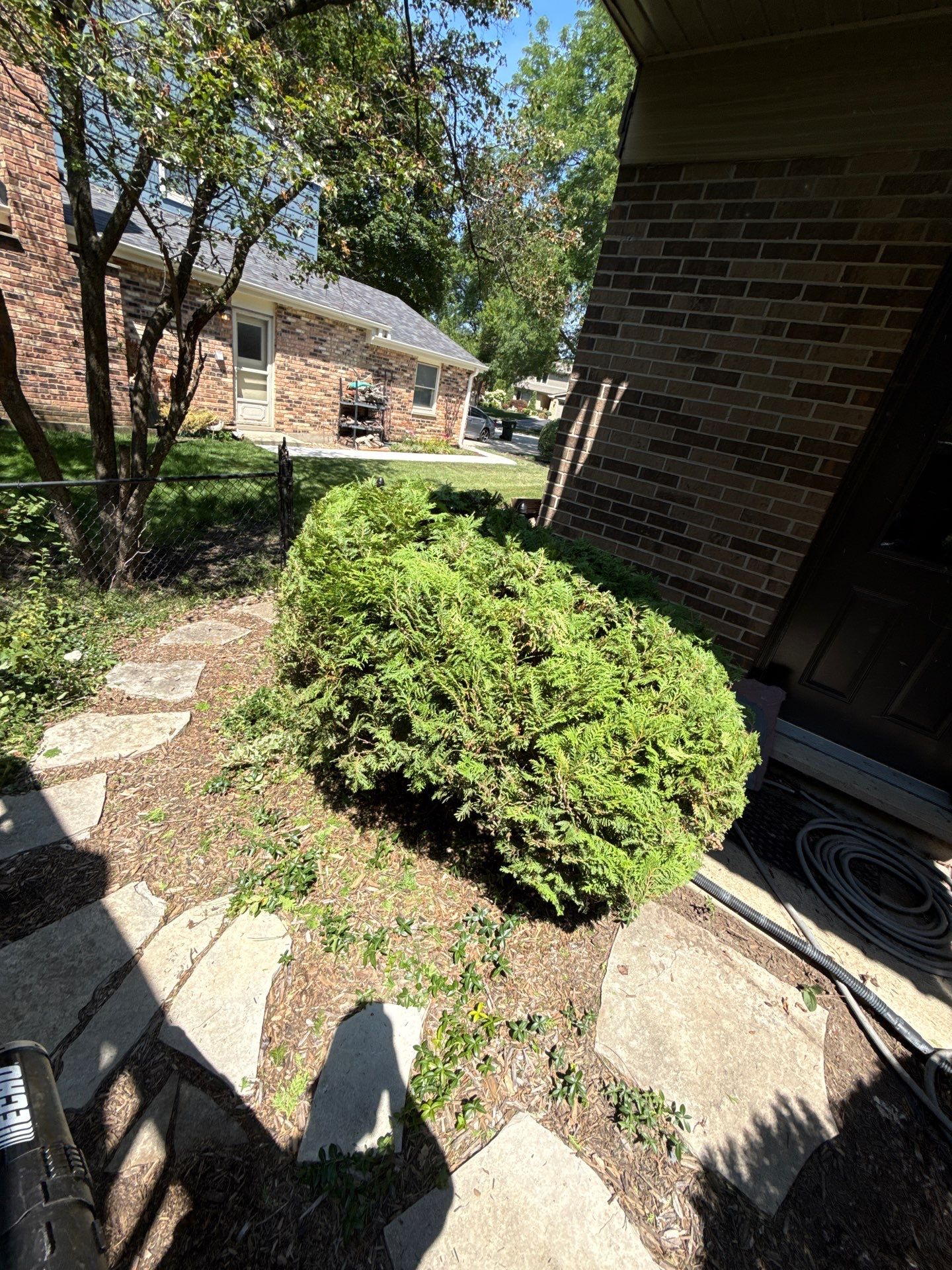 John K. - Arlington Heights, IL by A&N 
