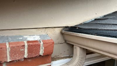 Siding/Fascia Replacement, Gutter Repair and Painting.