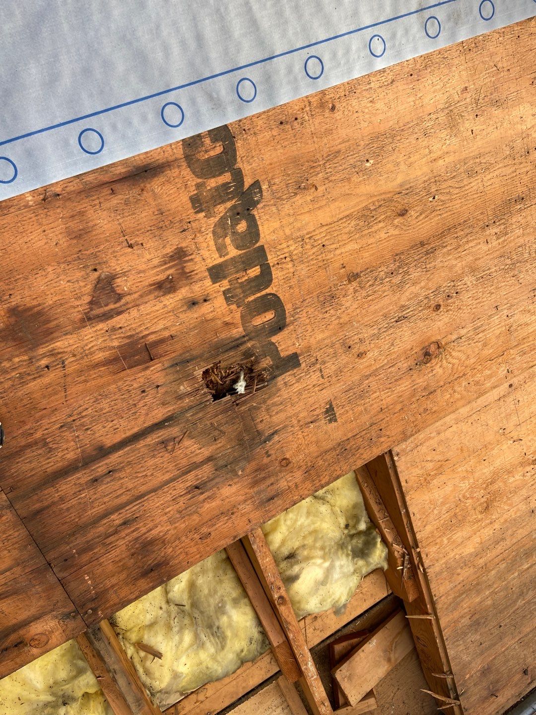 Roof Replacement using CertainTeed Landmark by 180 Contractors