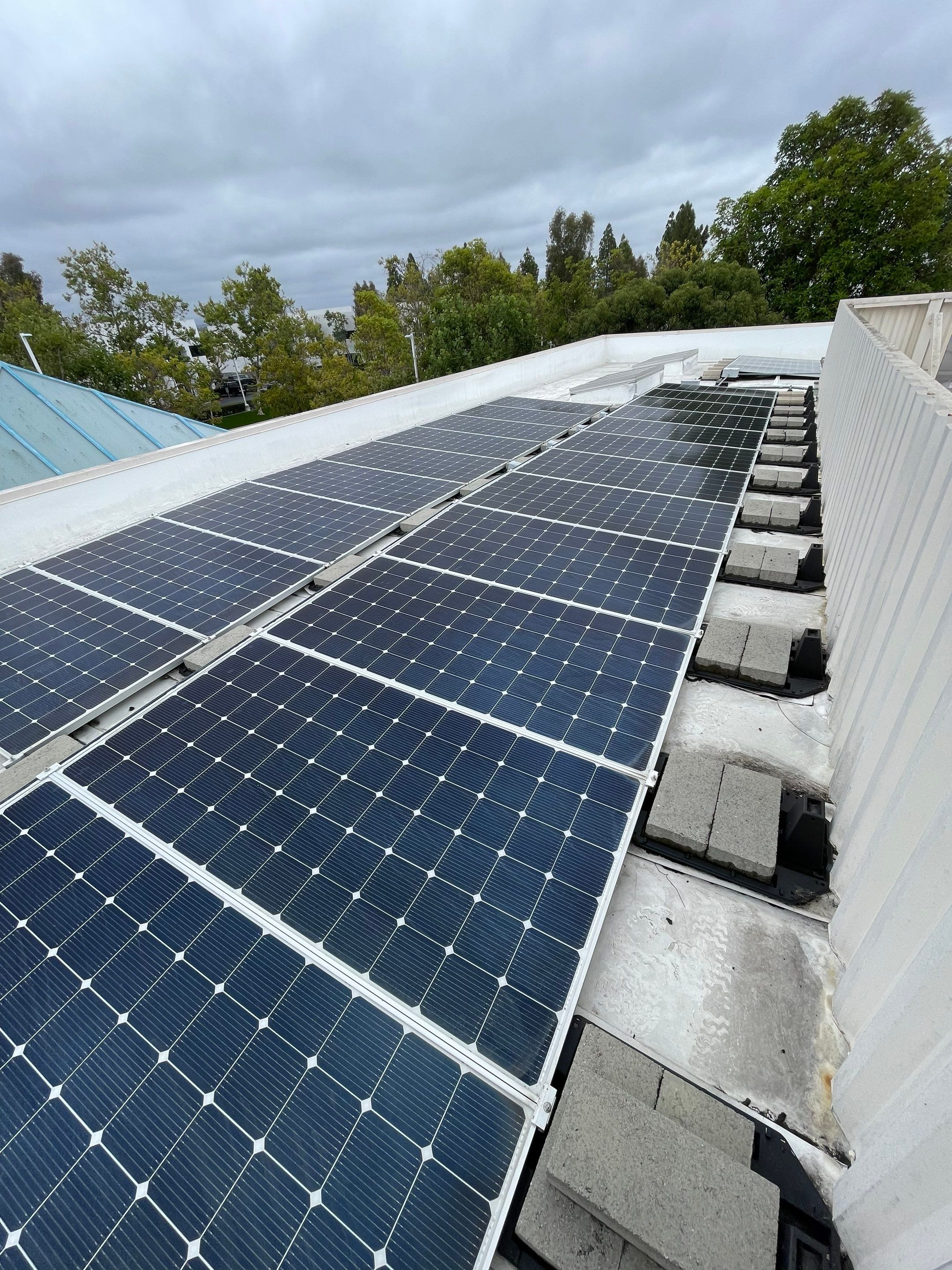 Commercial Solar Cleaning by Palm Coast Solar Cleaning
