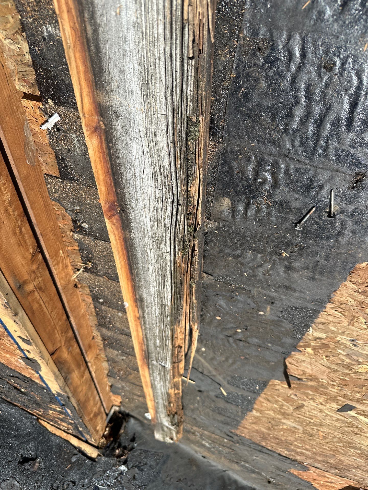 Project in Orange by Elitex Roofing