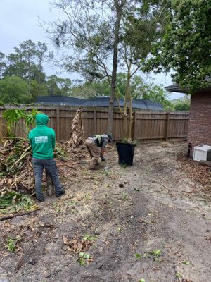 Deerwood Resident | Tree Removal