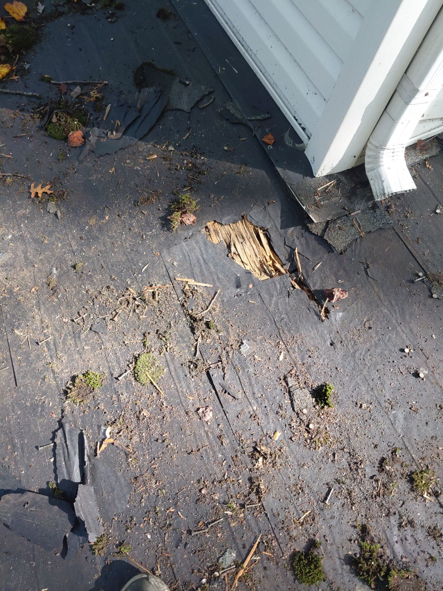 Springfield : Residential Roof Replacement with CertainTeed Landmark Pro in Max Weathered Wood  by RM Banning, Inc.