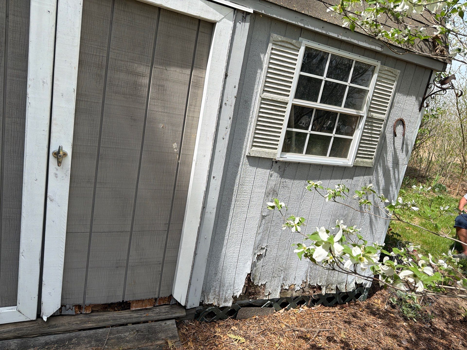 Shed Restoration with New Siding, Door Rebuild & Ramp Installation by Laser Focused Solutions LLC