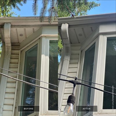 Project in Woodstock