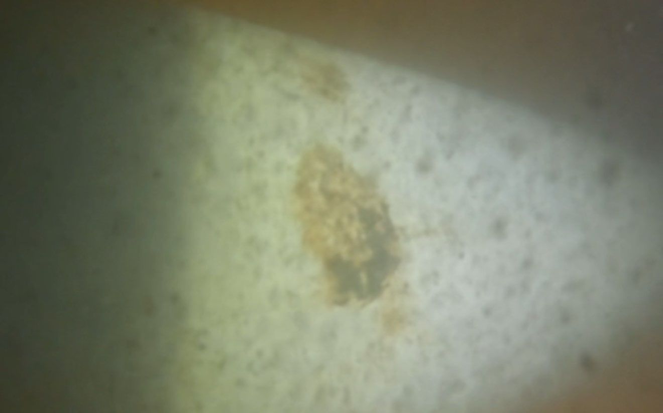 Florida Hull Cleaning - Divers | Fort Myers, Cape Coral, Naples, Venice featured photo.