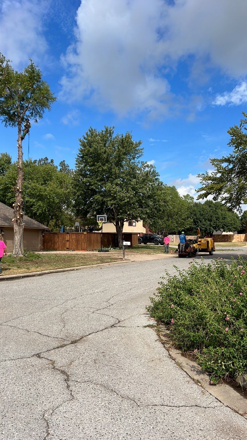 Tree removal , Concrete, Pergola, and sod install  by Clays Services Inc