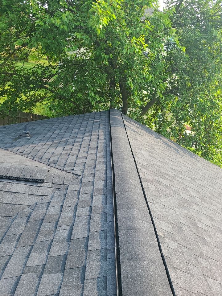 Manassas: CertainTeed Landmark Pro Designer Shingles in Max Def Moire Black by RM Banning, Inc.