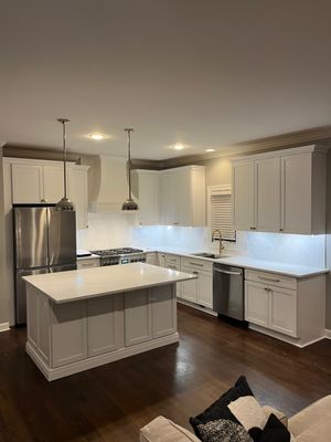 Chicago Kitchen Remodel