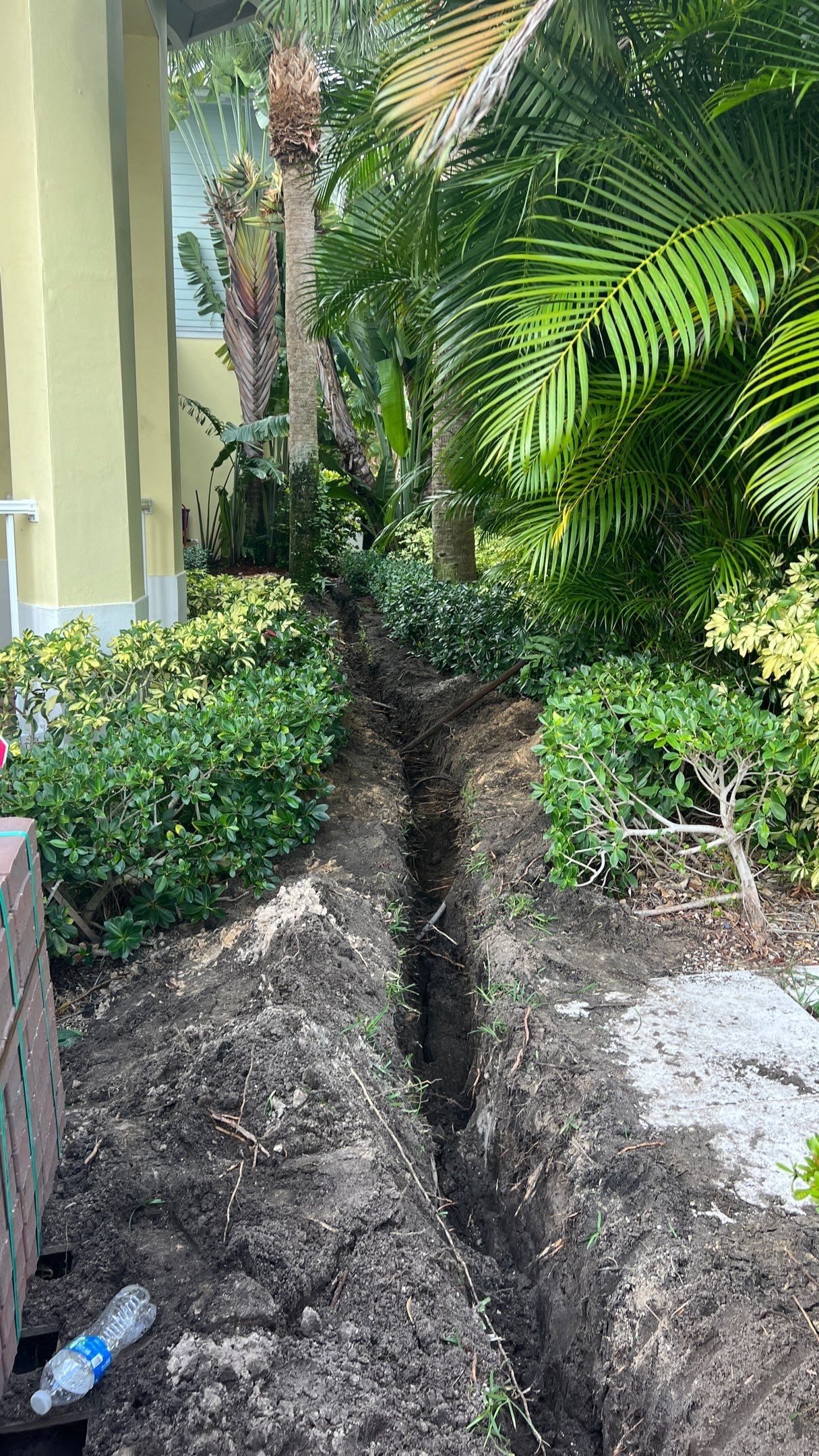 Hazard  by The Landscaping People