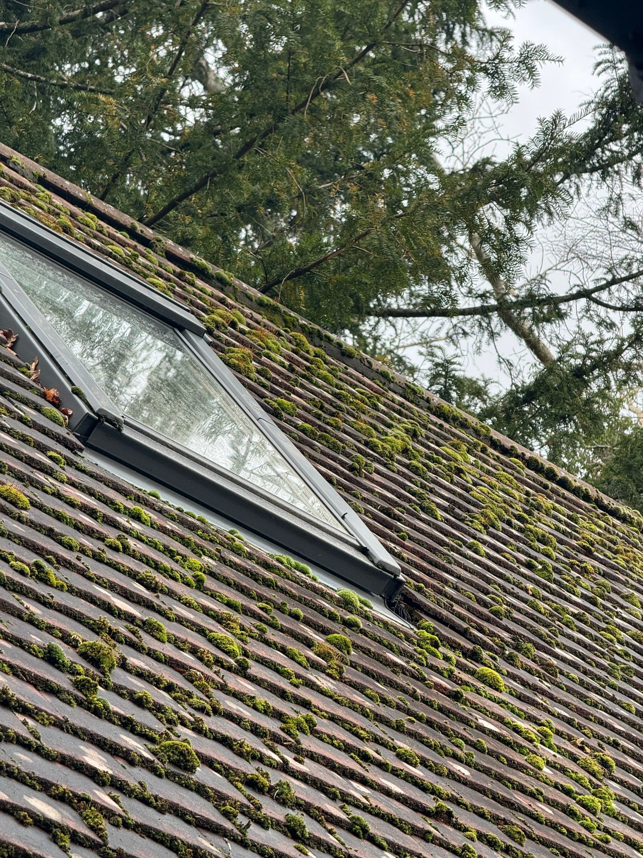 Roof and Patio Cleaning using Honda 15lpm Low Pressure Washing Machine by Ges Exterior Cleaning ltd