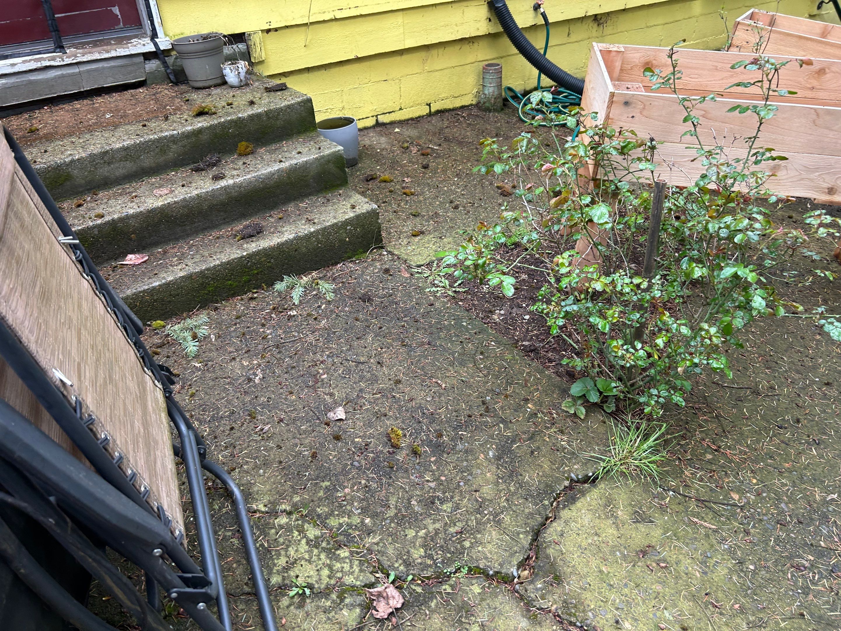 Roof Maintenance in West Linn by Prodigy Roof Solutions
