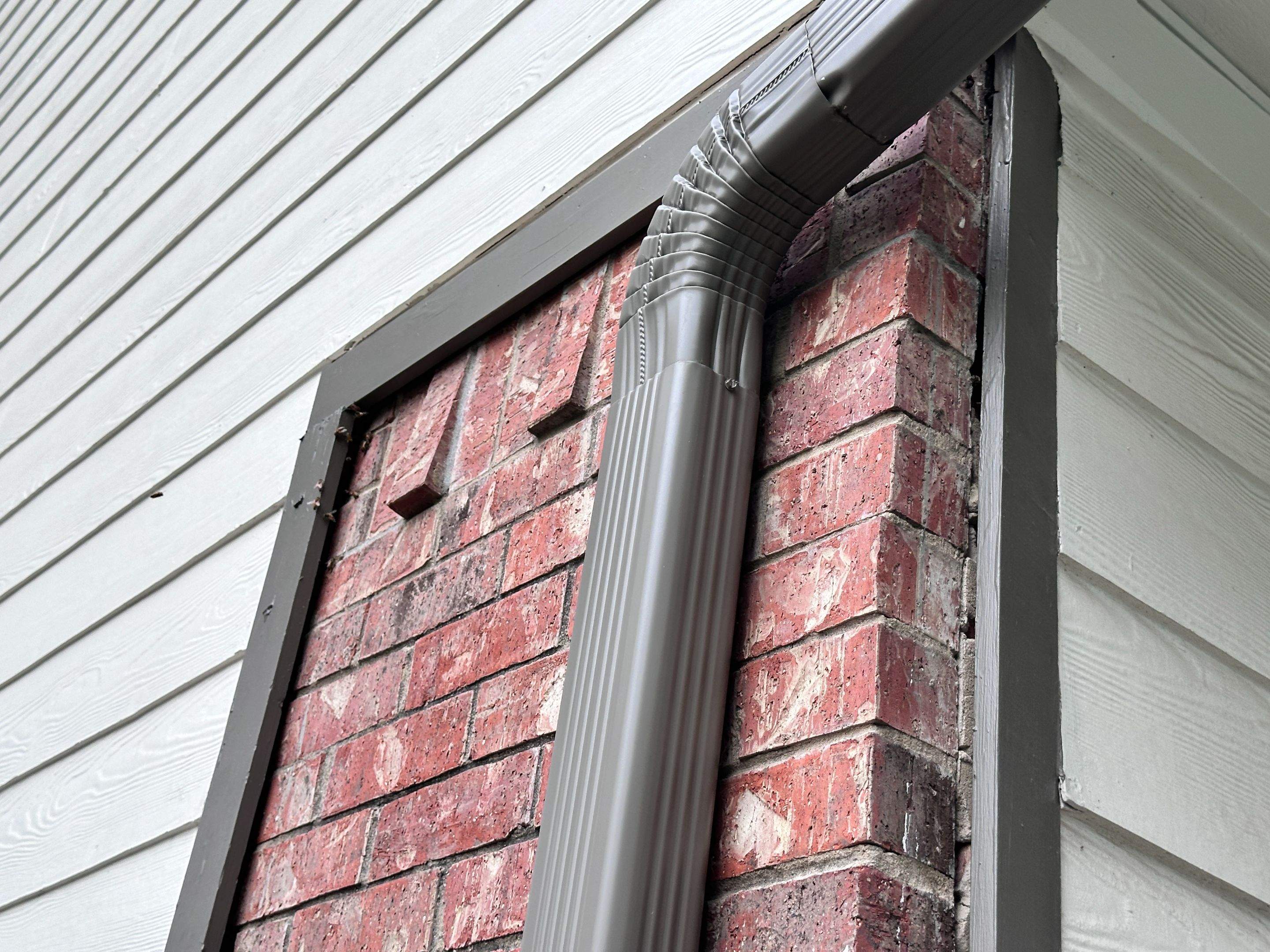 Floor Bees Invade! by Rockwall Honey Bee Company