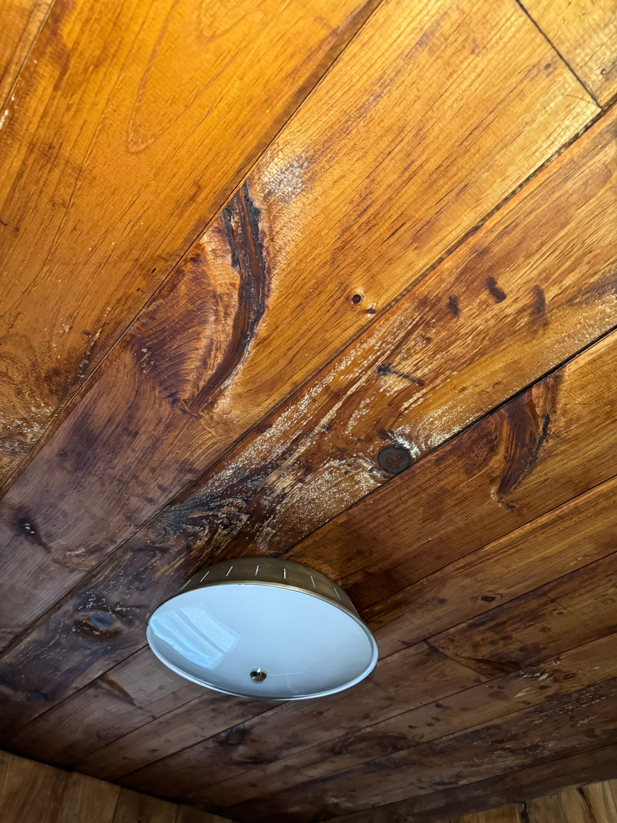 Entire Home Remediation by Home Guarantee, LLC