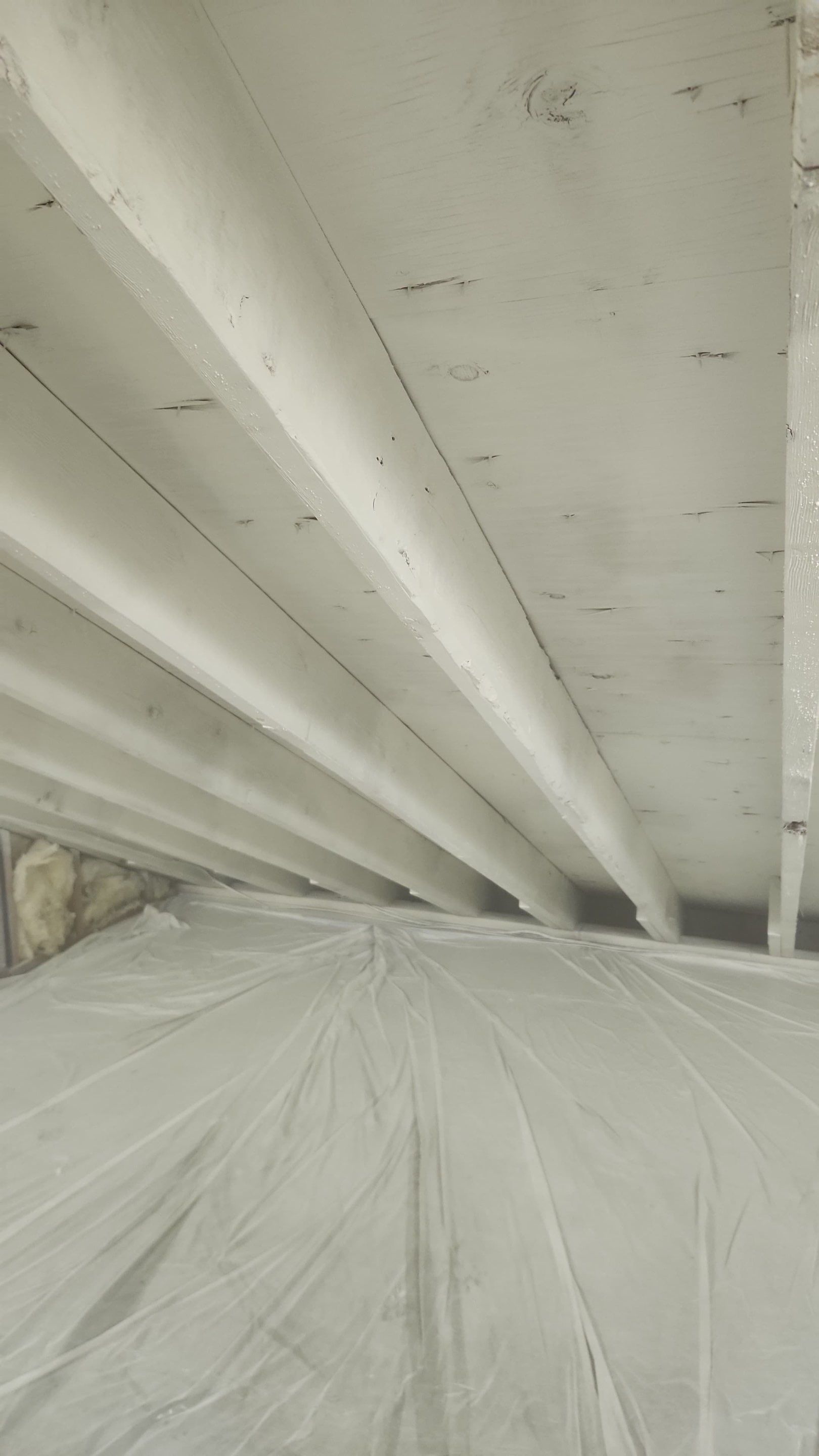 Attic Mold Remediation in Montville, NJ by Pure Service Pro, LLC