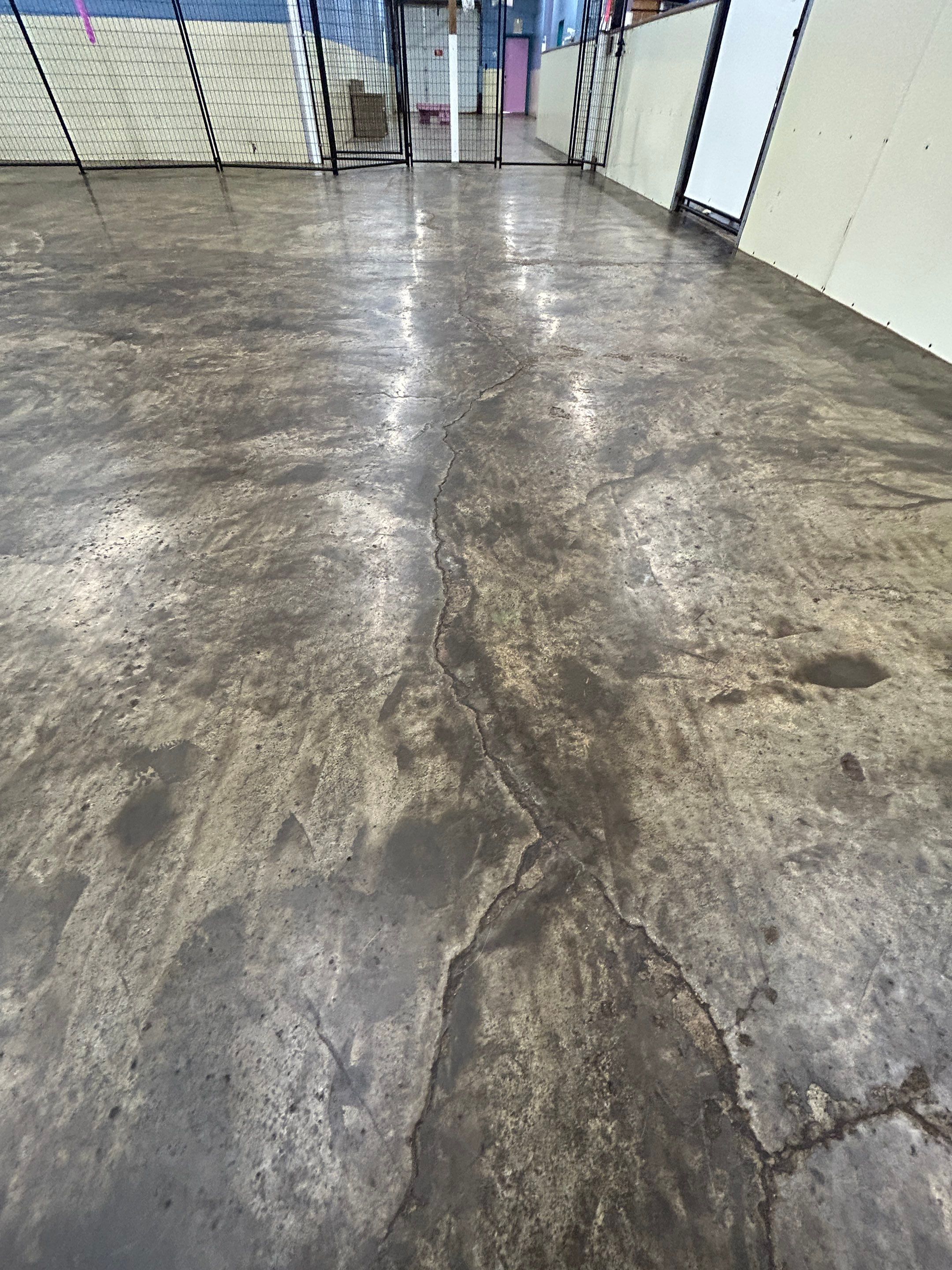 Doggy Daycare Refresh! by Revival Concrete Coatings