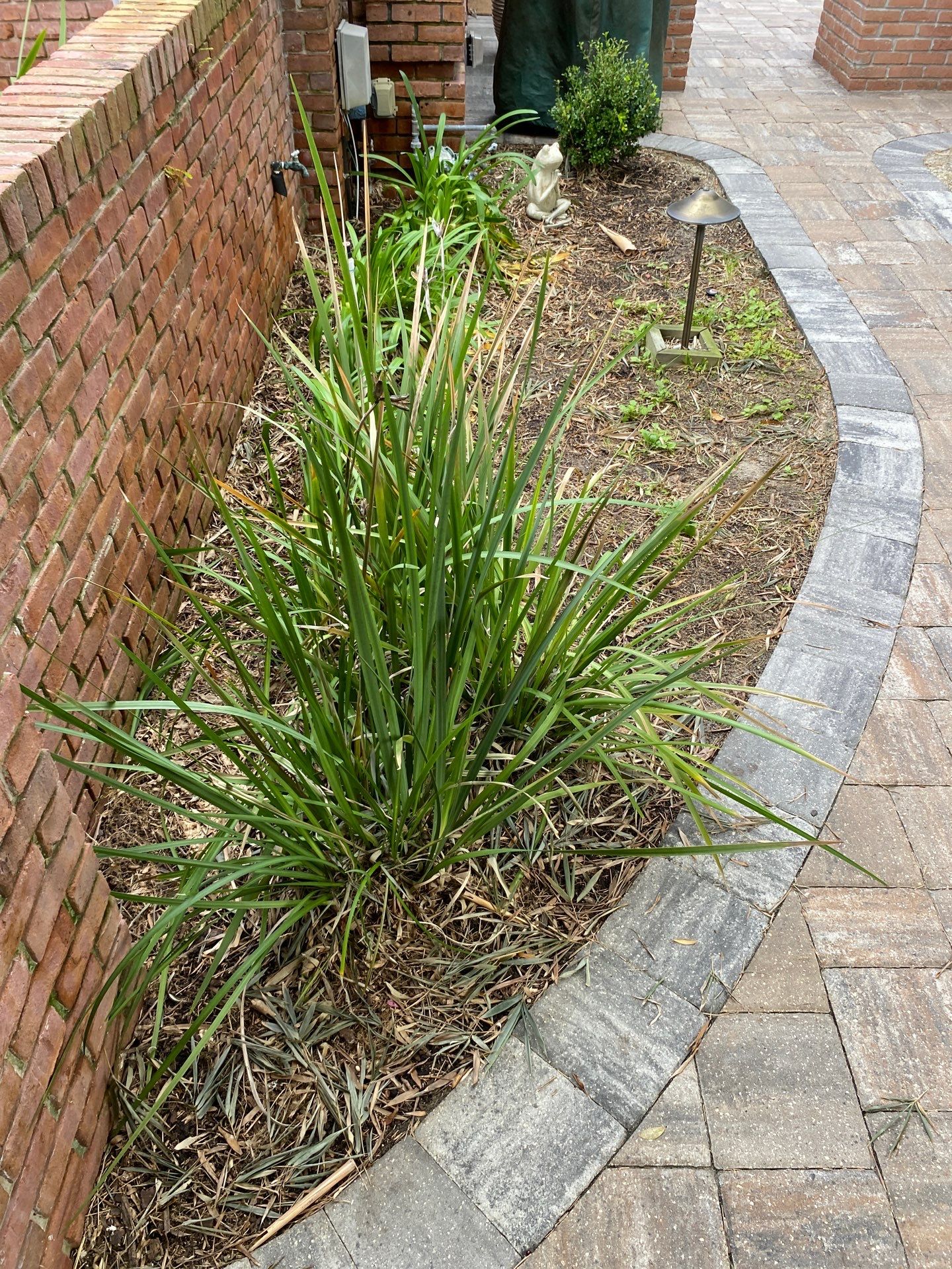 Deerwood Resident | Tree Removal & Mulch Install by ProGreen Services