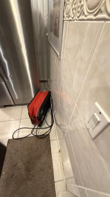 Mold Remediation — Bonita Springs, FL