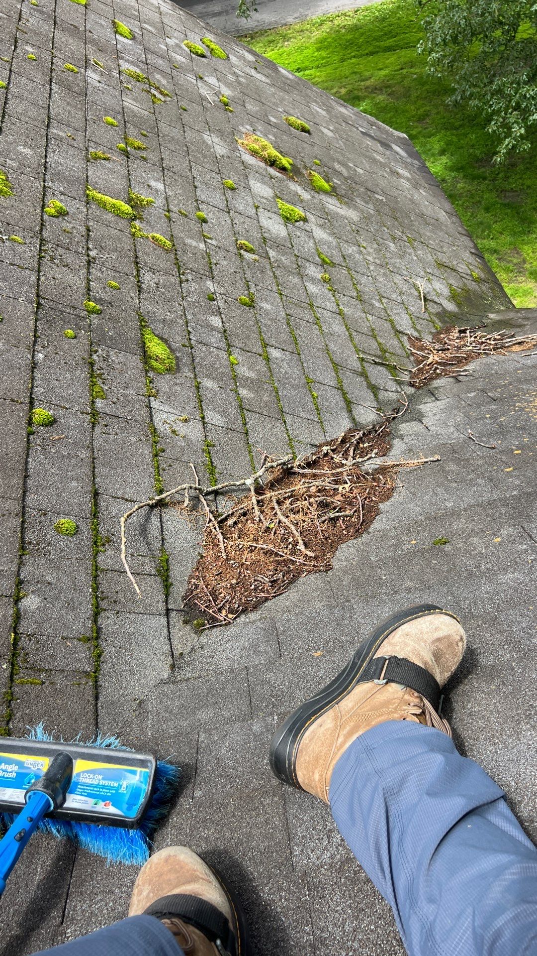 Project in Chester by Roof Maxx of Midlothian