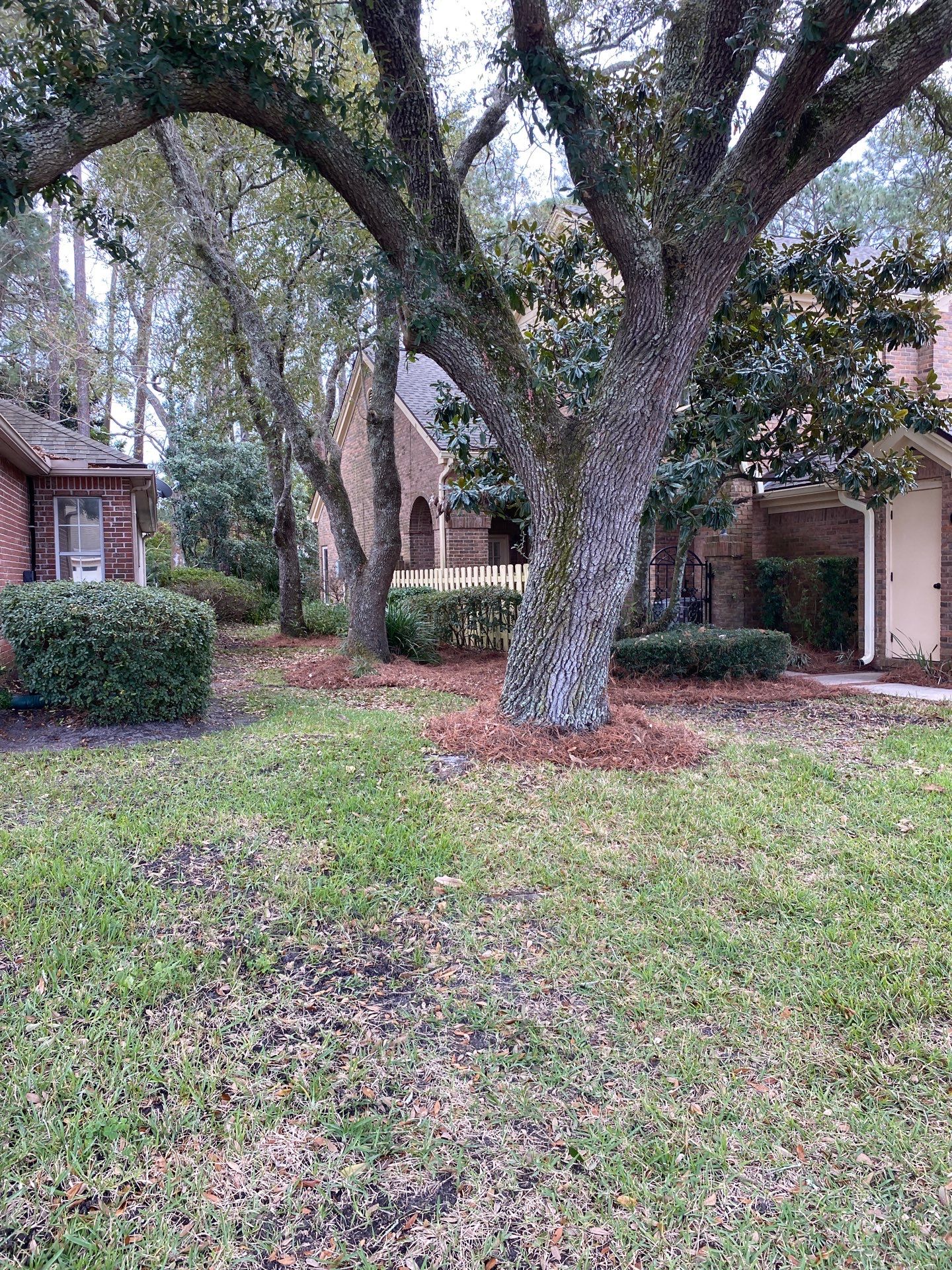 Deerwood Pointe | Tree Removal & Pine Straw Installation by ProGreen Services