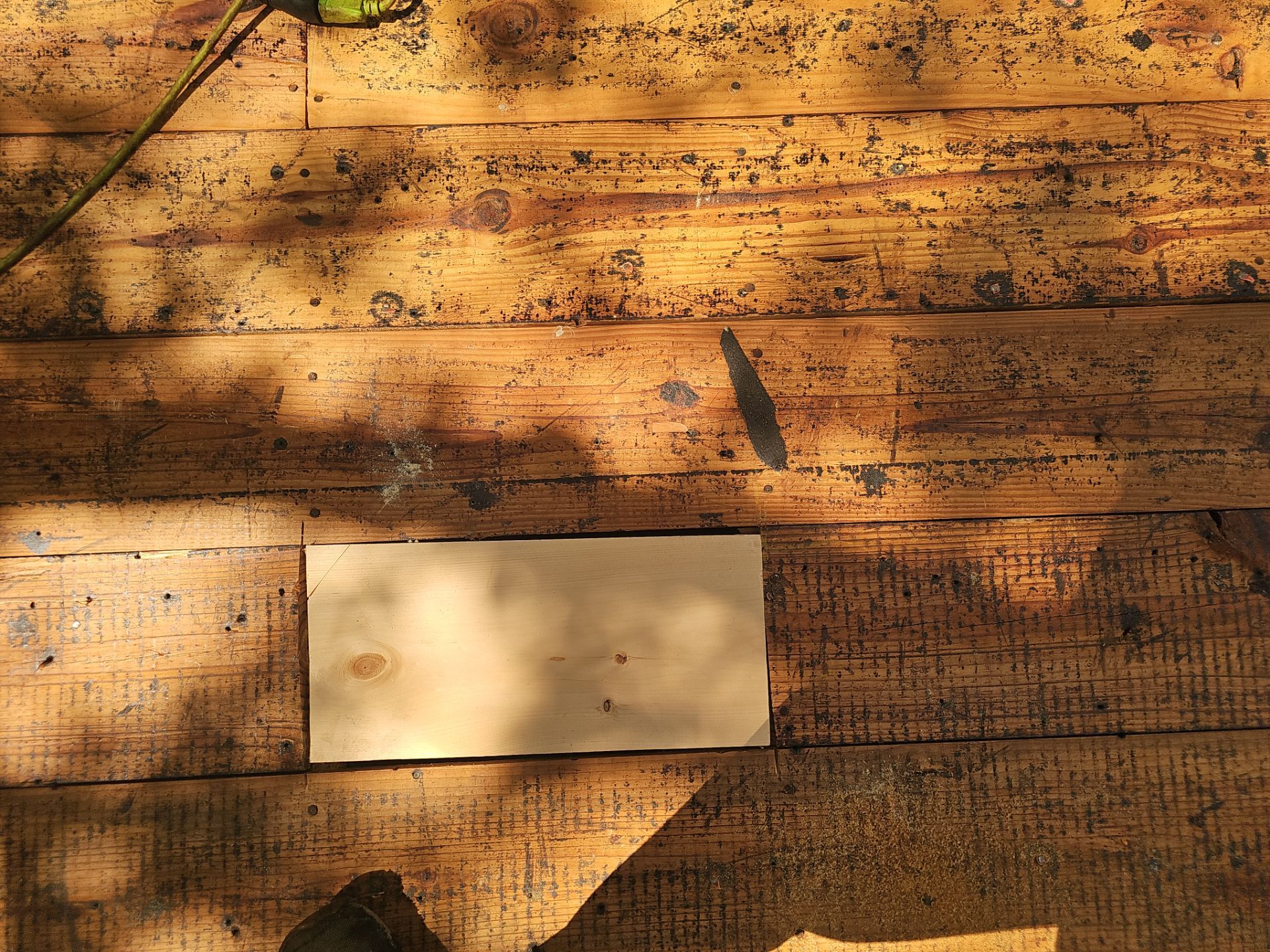 Project in St. Petersburg 33705 by Mitchell Roofing Company LLC 