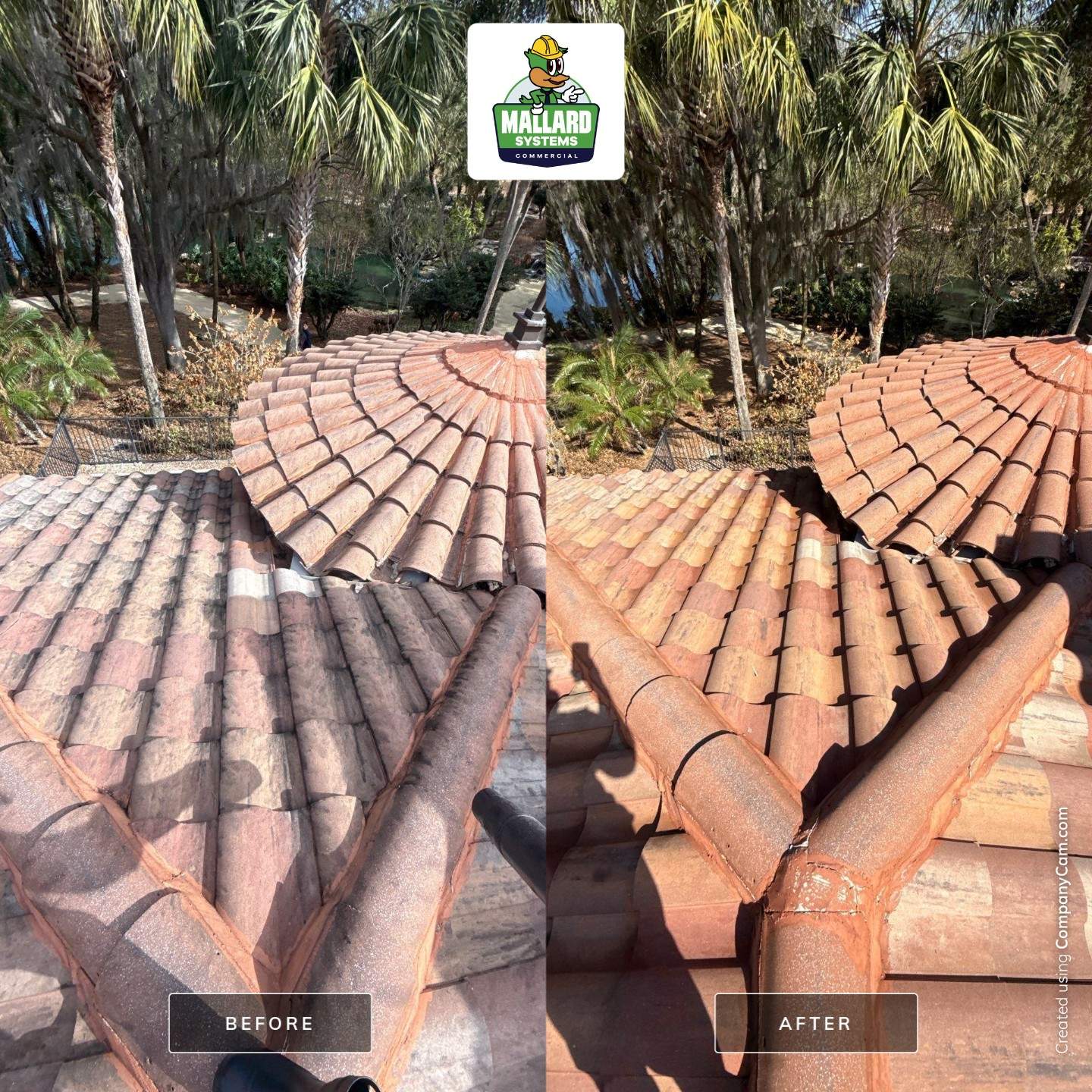 Tile Roof Cleaning by Mallard Systems