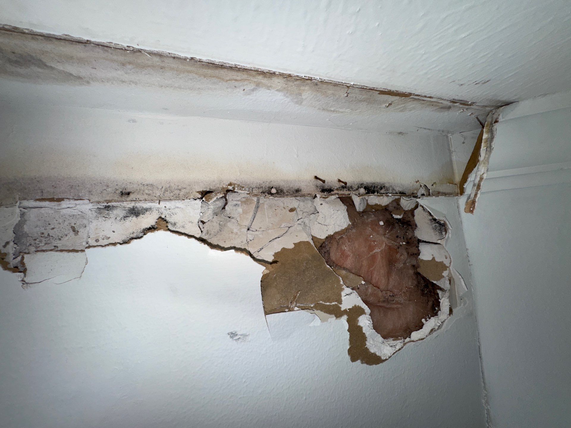 Mold Remediation Job in Richmond by Team Home Solutions