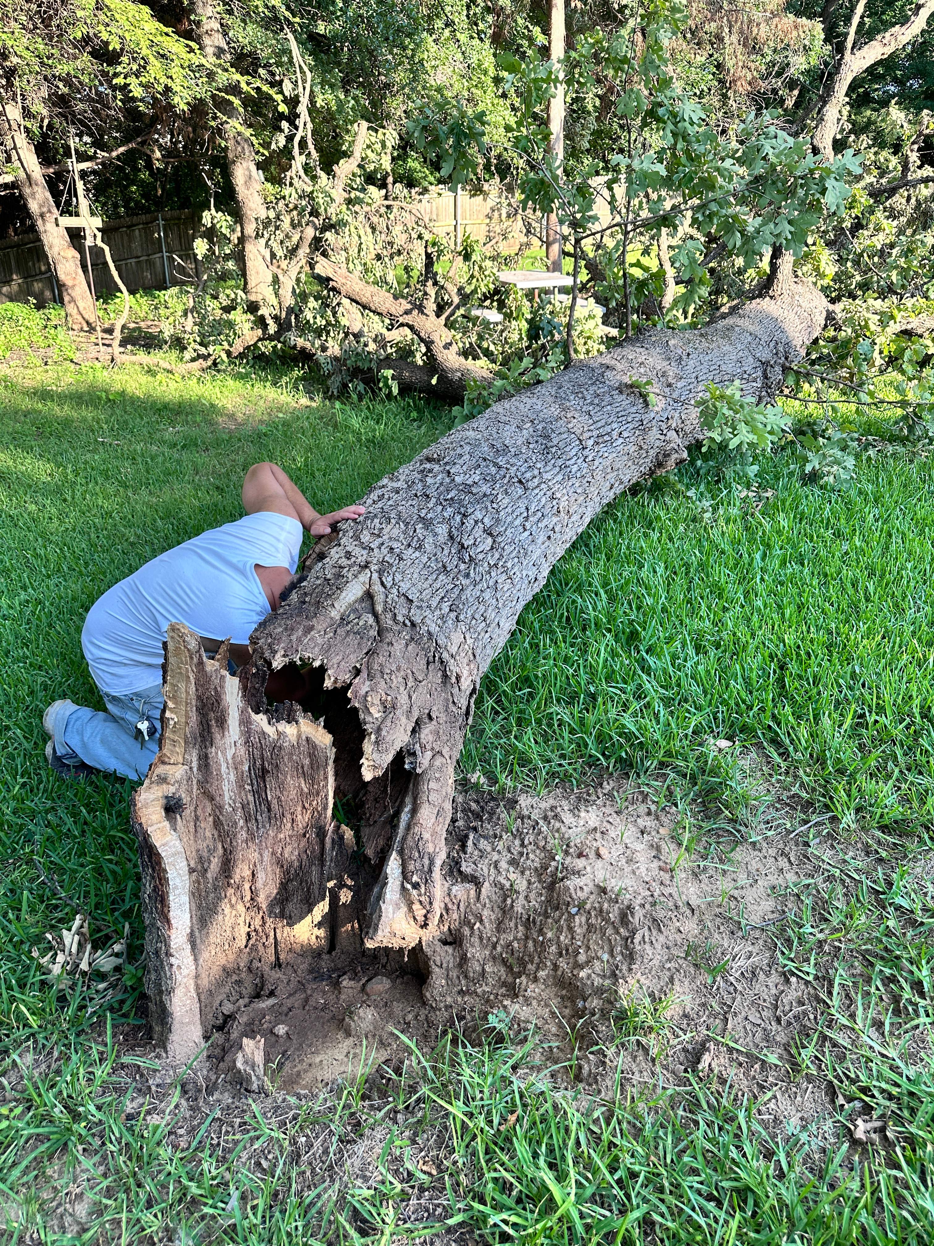 Wina-tree-go by Rockwall Honey Bee Company