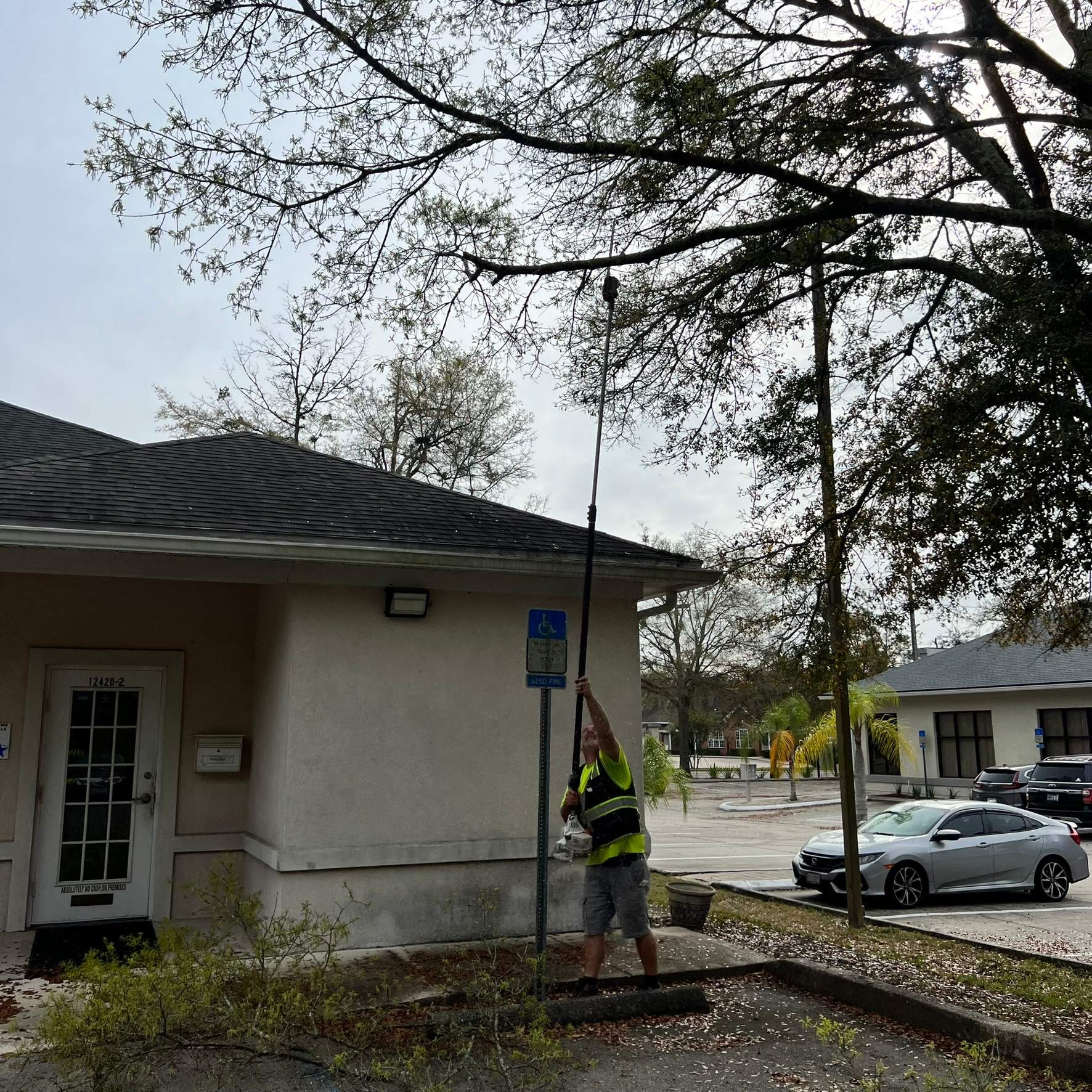 Tree Work | Great Expressions Dental by ProGreen Services