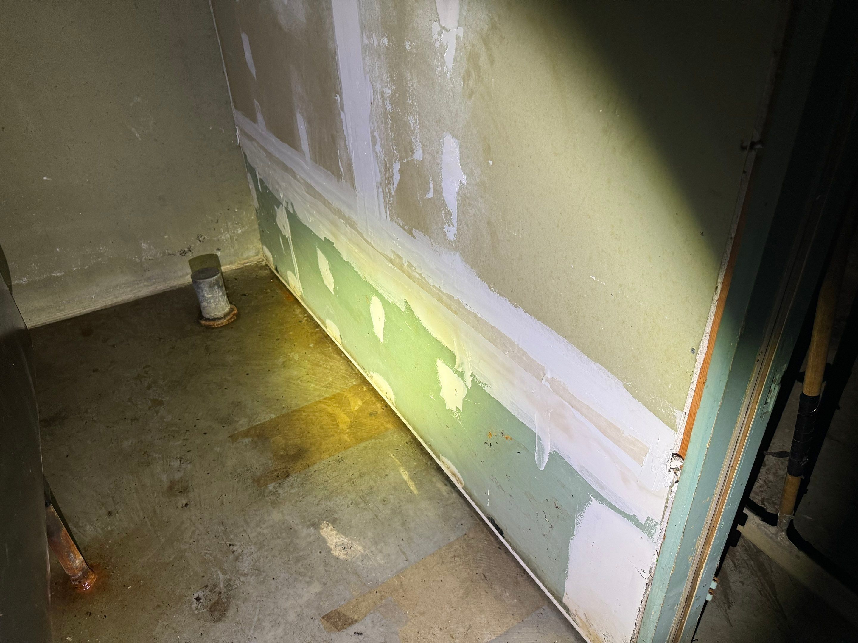 Basement Mold Remediation by Home Guarantee, LLC