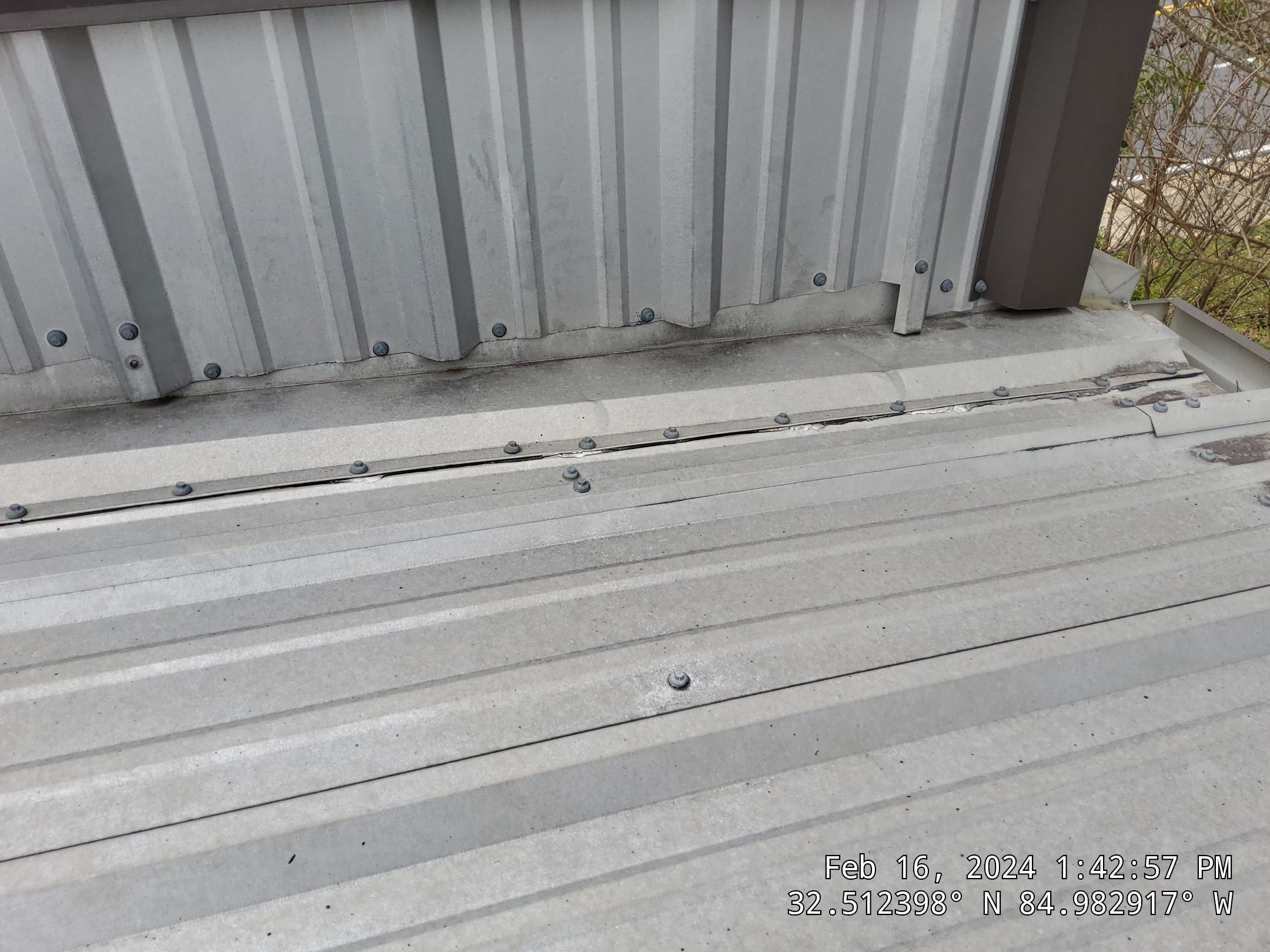 Master Clean Roof and Gutter Cleaning by iGreen Solutions