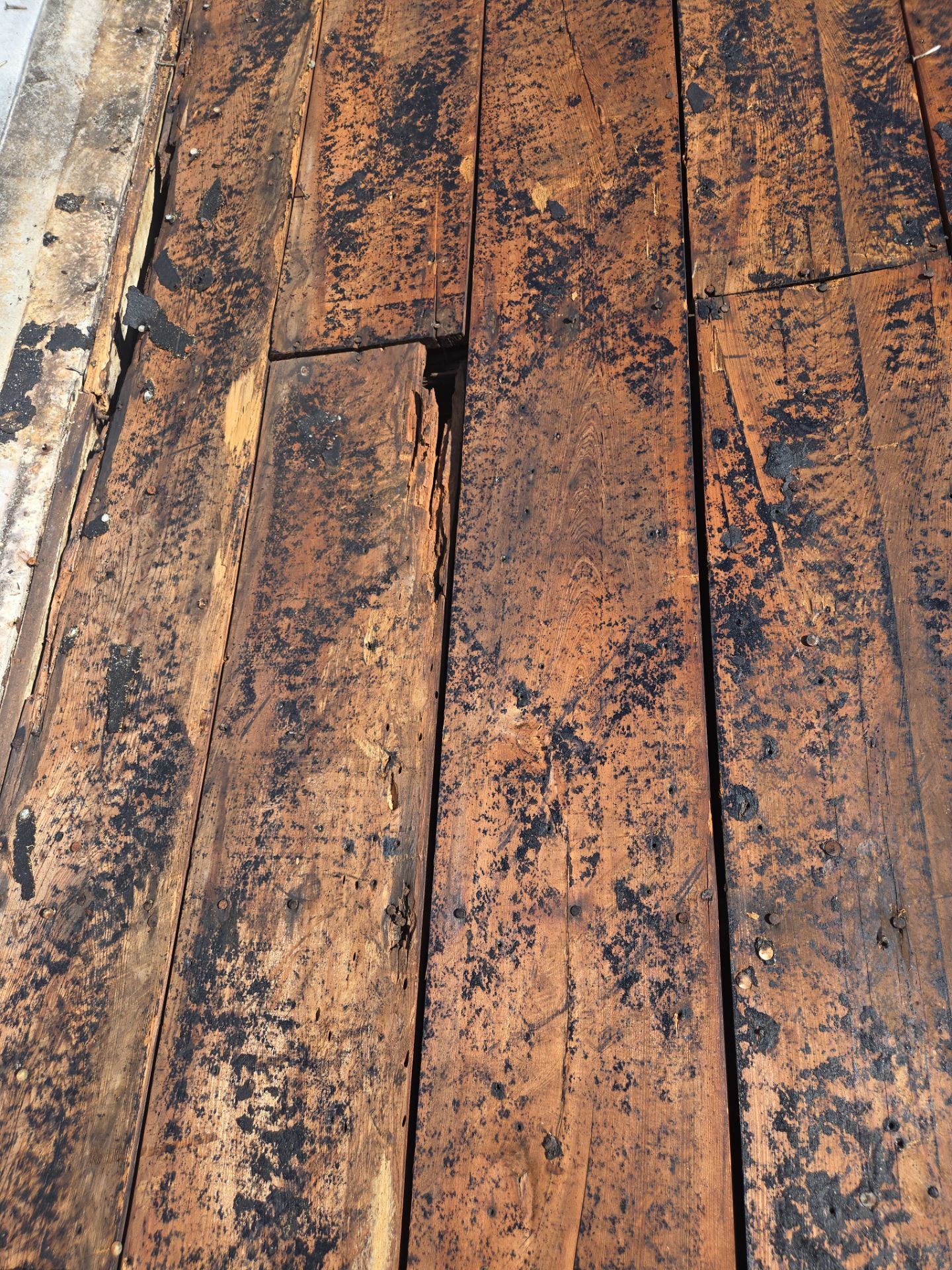 Project in St. Petersburg 33713 by Mitchell Roofing Company LLC 