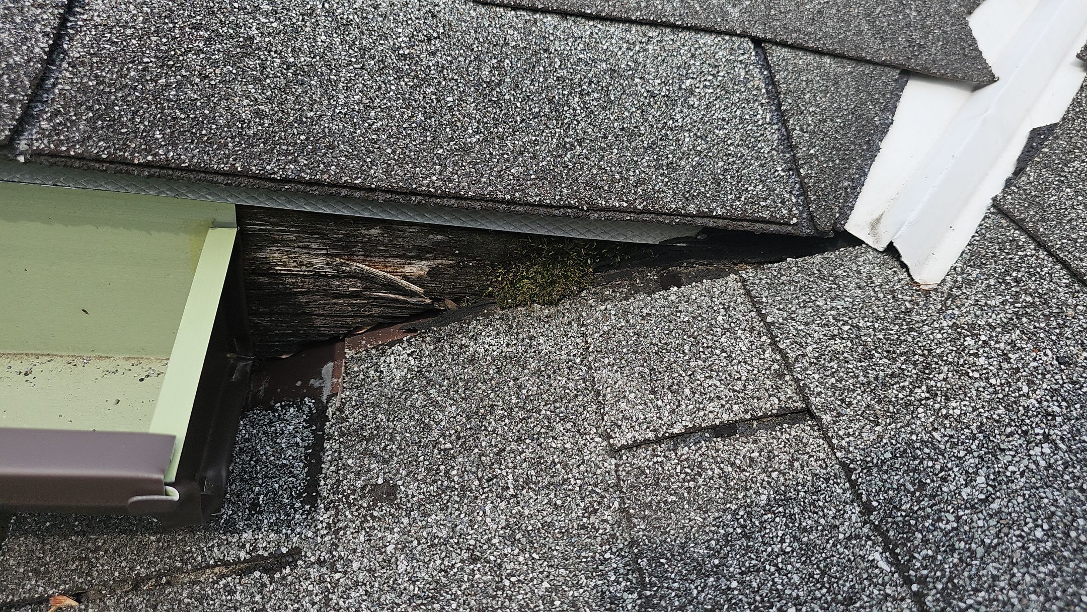 ATLAS PINNACLE COLOR: MORNING HARVEST by Eagle Eye Roofing