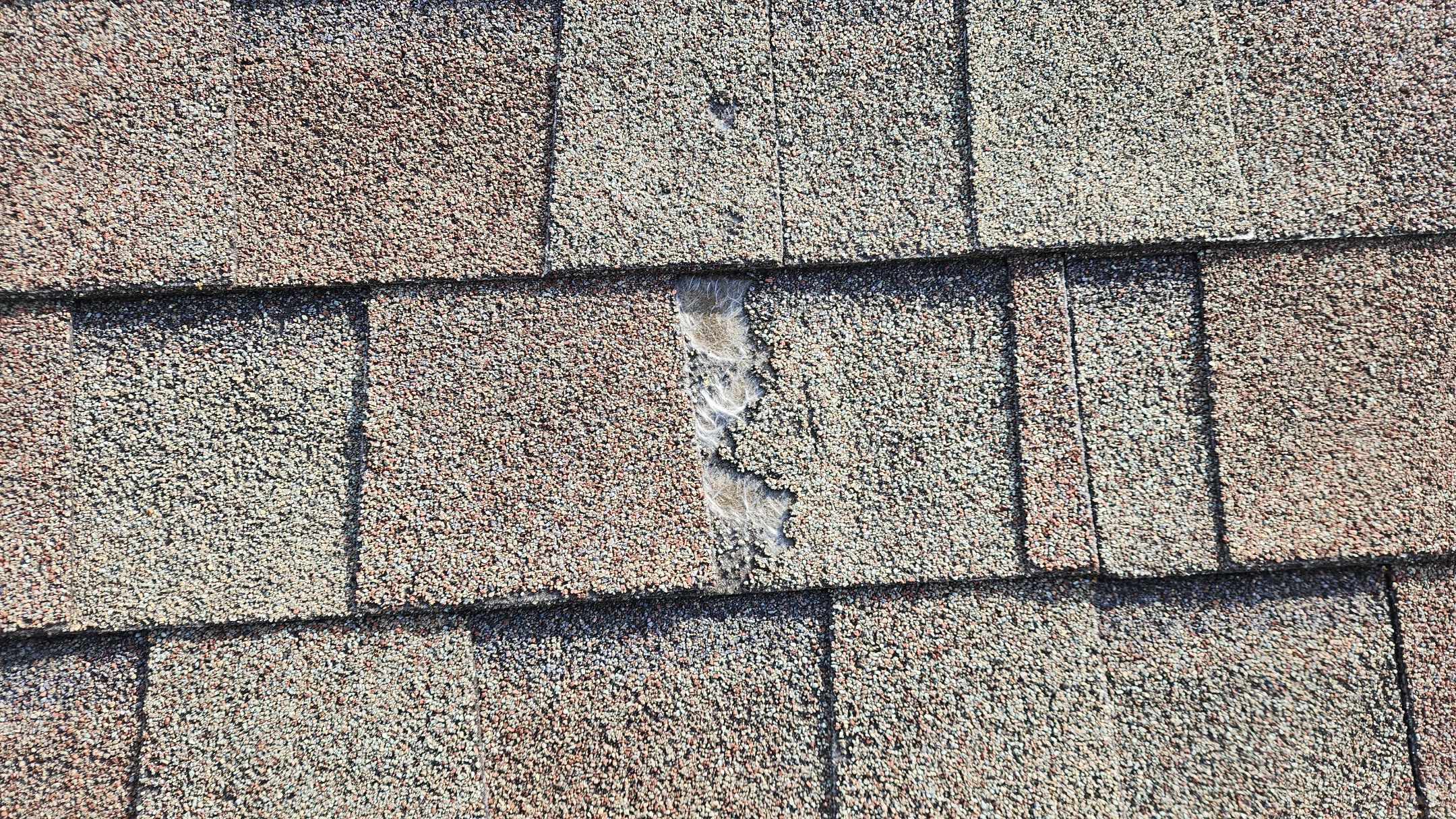 Residential Shingle Reroof using Malarkey Vista by Hostetler Roofing