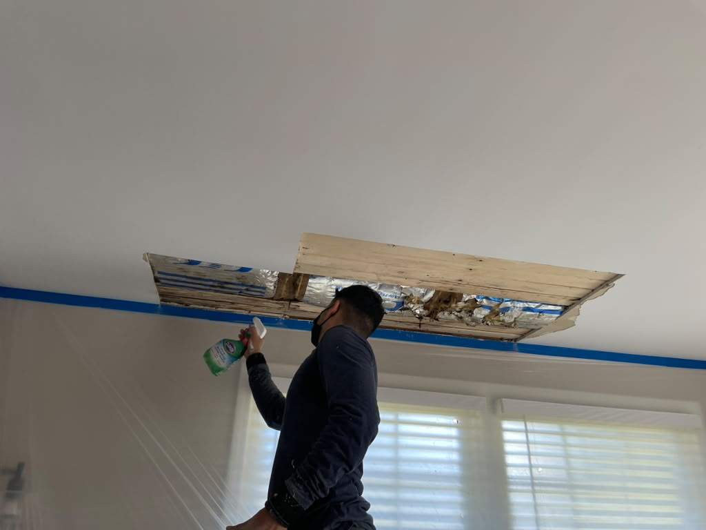 Roof replacement, interior and gutter repair by hail and wind damage by Just Brilliant Restoration JBR