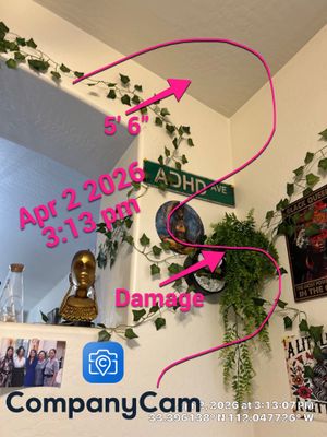 Interior Decor and Art Installation in Phoenix