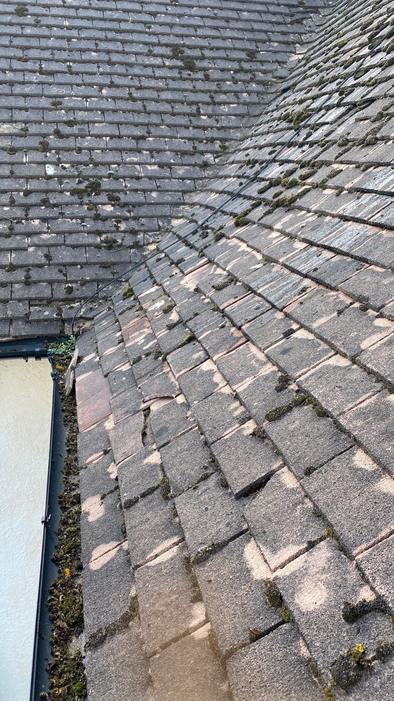 Roof - Driveway - Patio Clean using Honda 15lpm Low Pressure Washing Machine by Ges Exterior Cleaning ltd